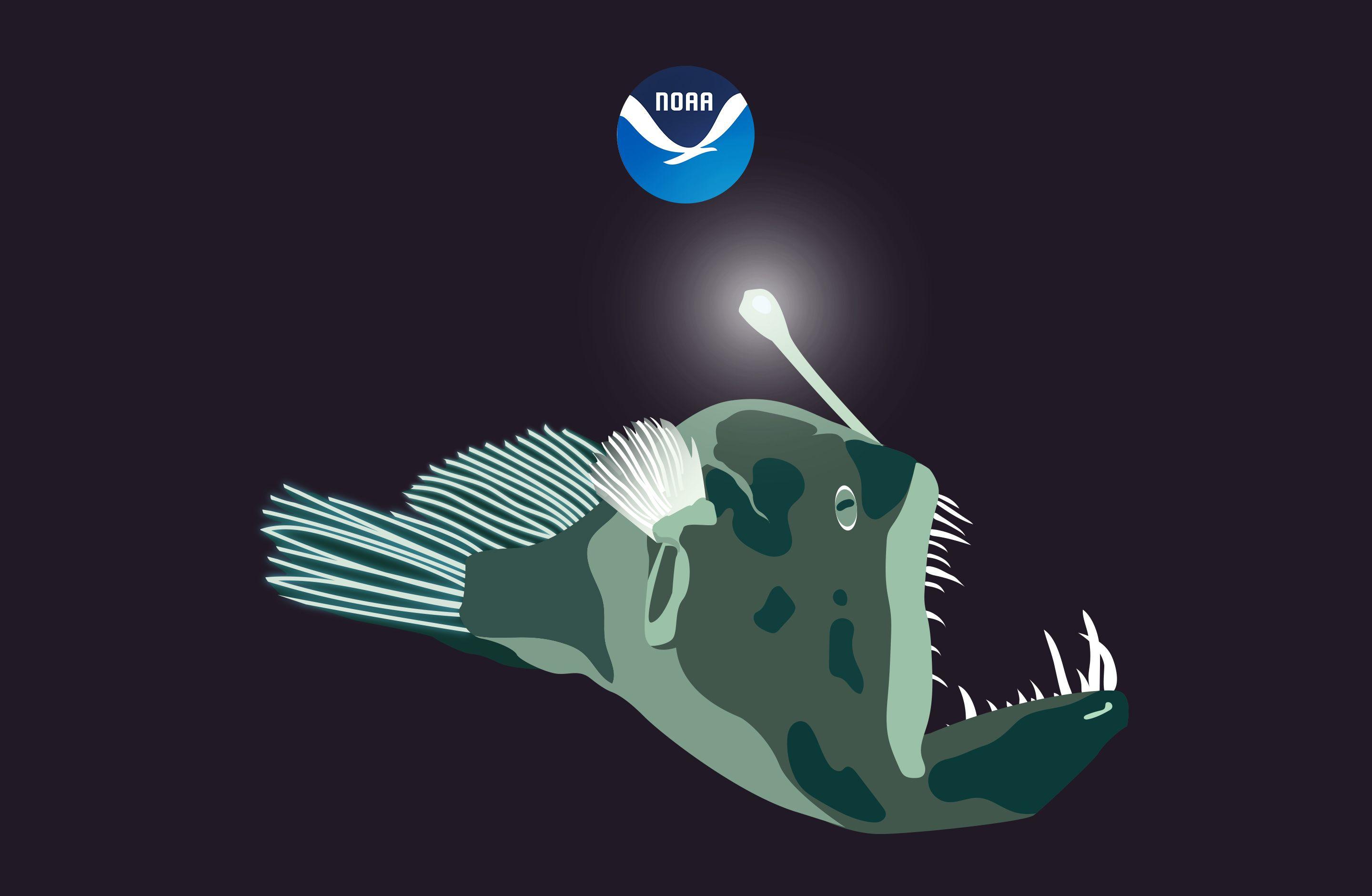 2880x1880 NOAA