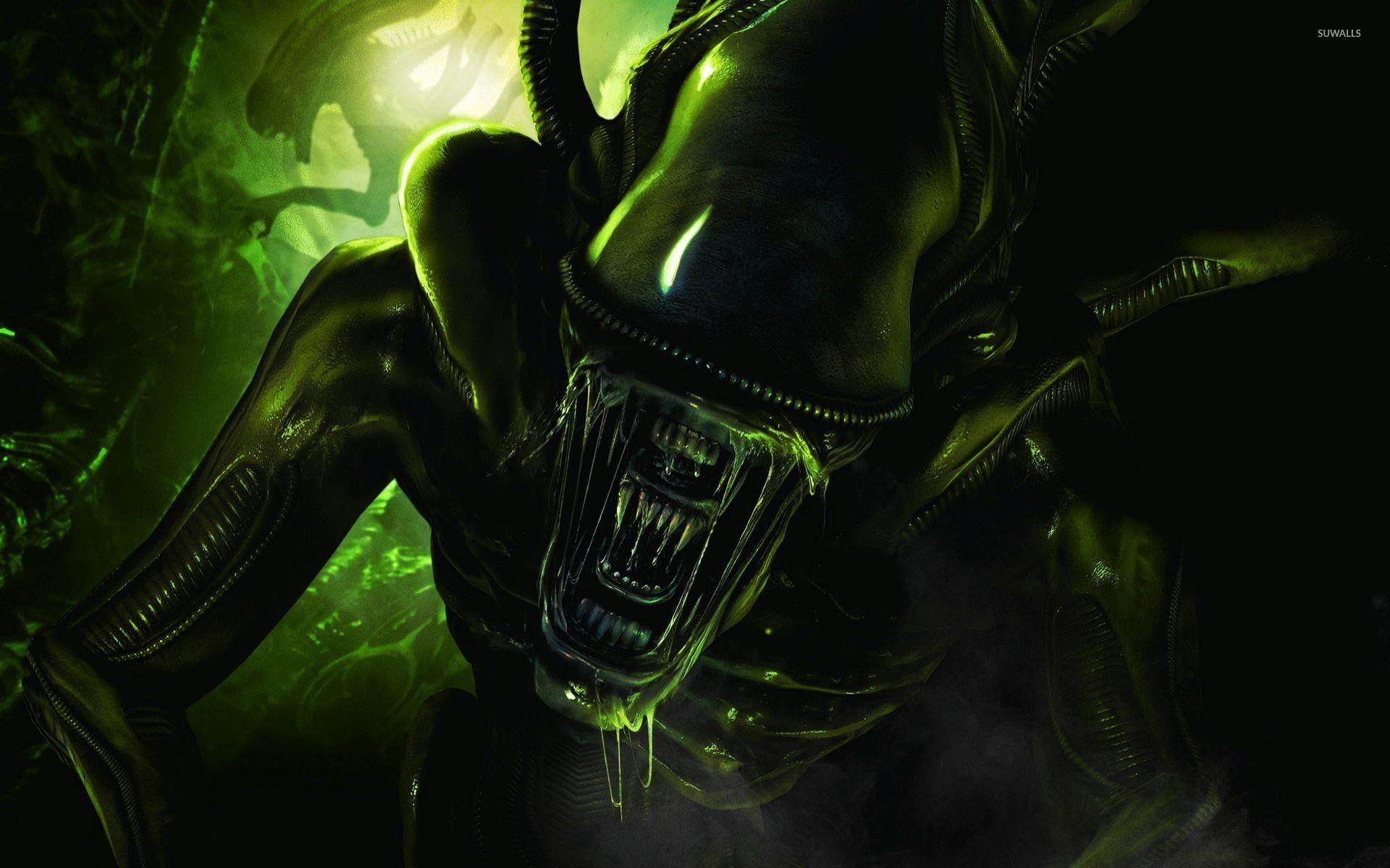 1920x1200 Green Alien Wallpaper