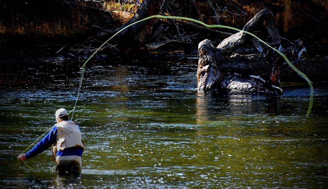1249x722 Trout Fly Fishing Wallpaper
