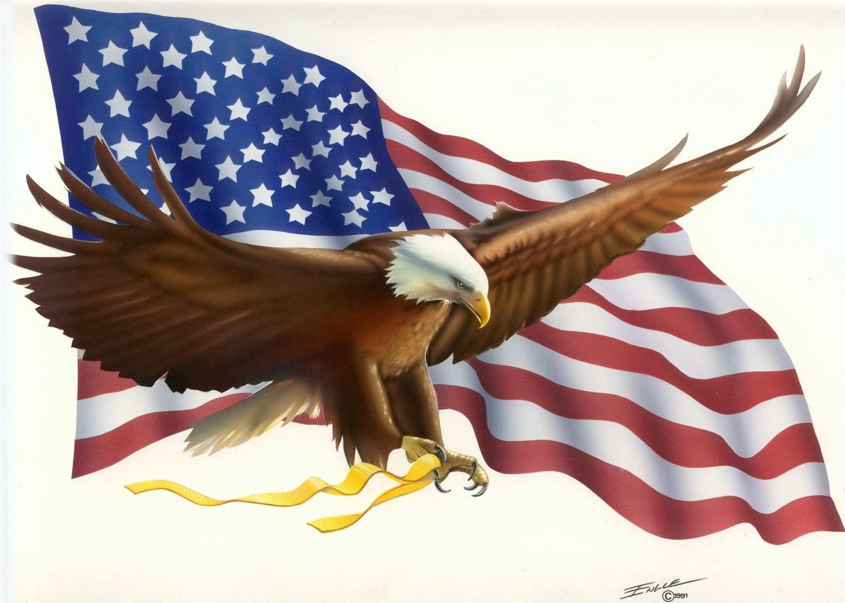 Veterans Day Eagle Wallpapers Top Free Veterans Day Eagle Backgrounds
