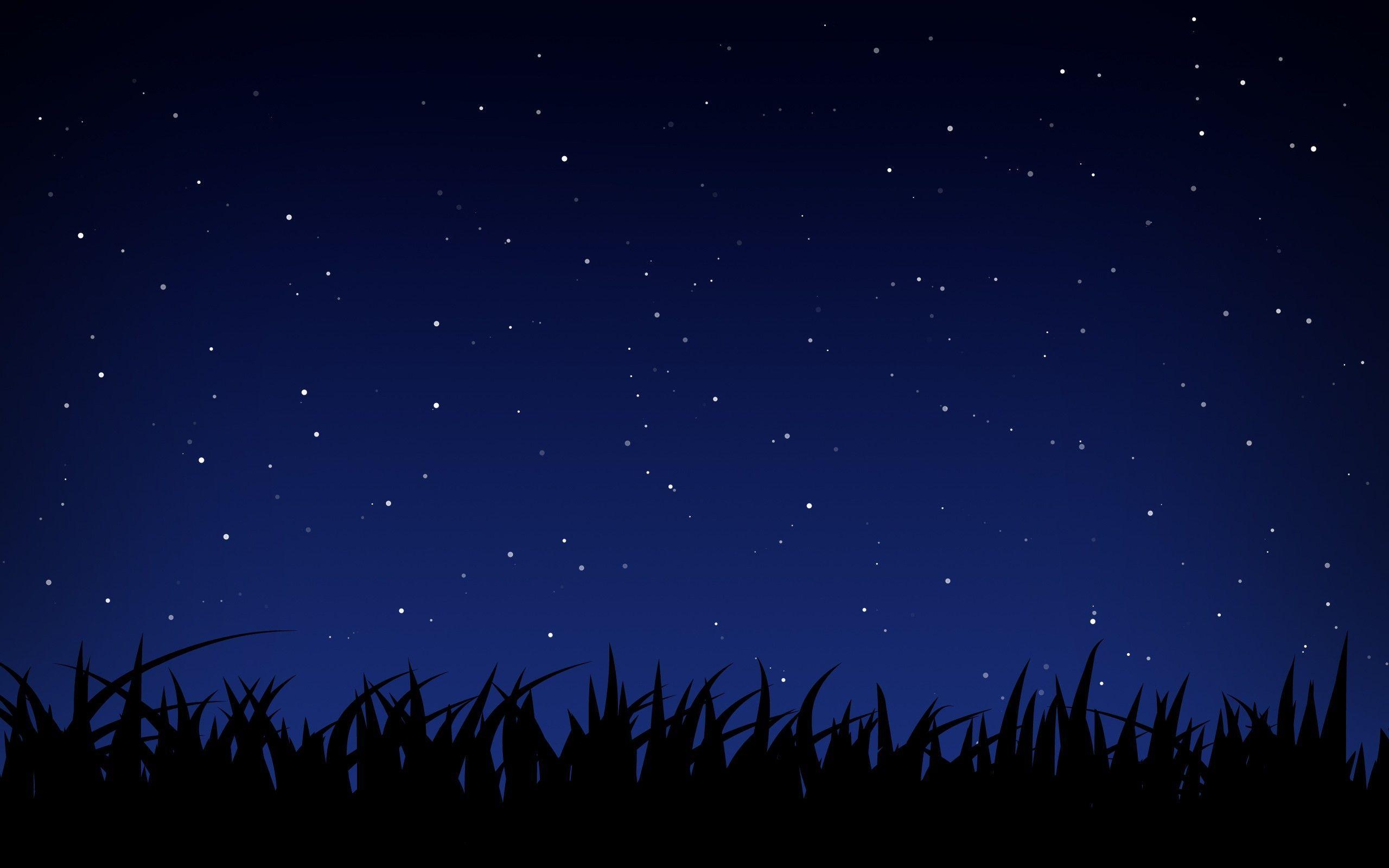 2560x1600 Anime Starry Night Sky Wallpaper Phone For Free Wallpaper
