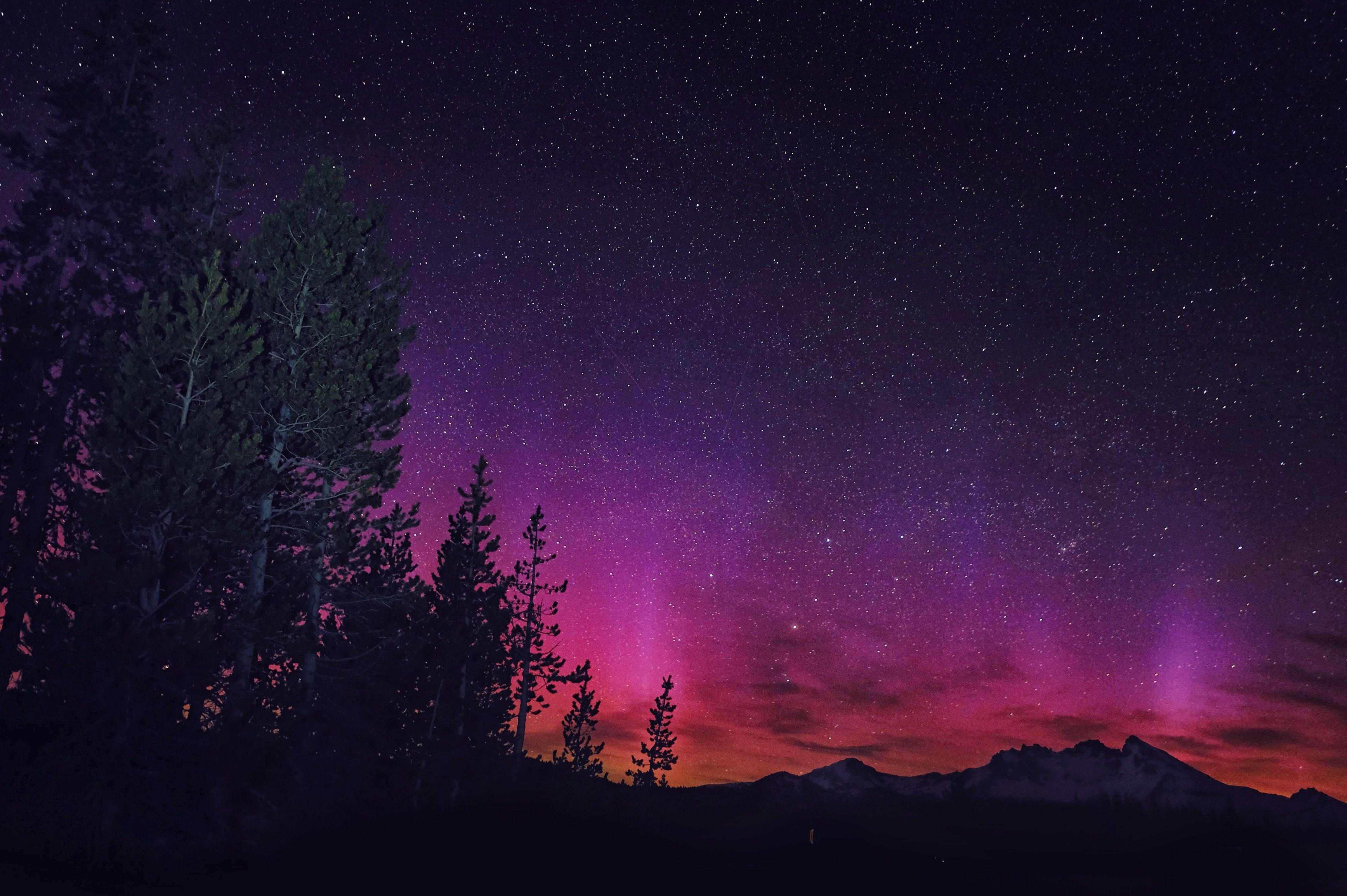 4566x3038 landscape night stars nature pink trees wallpaper
