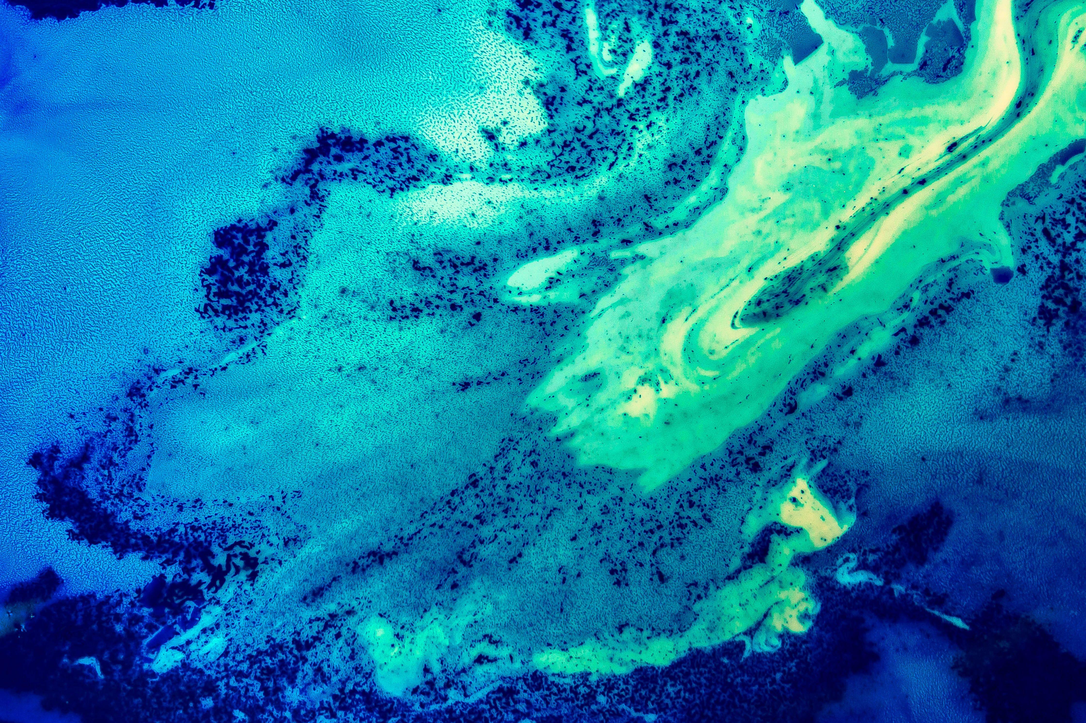 4483x2985 4483x2985 #abstarct, #paint, #abstract, #cell, #aqua