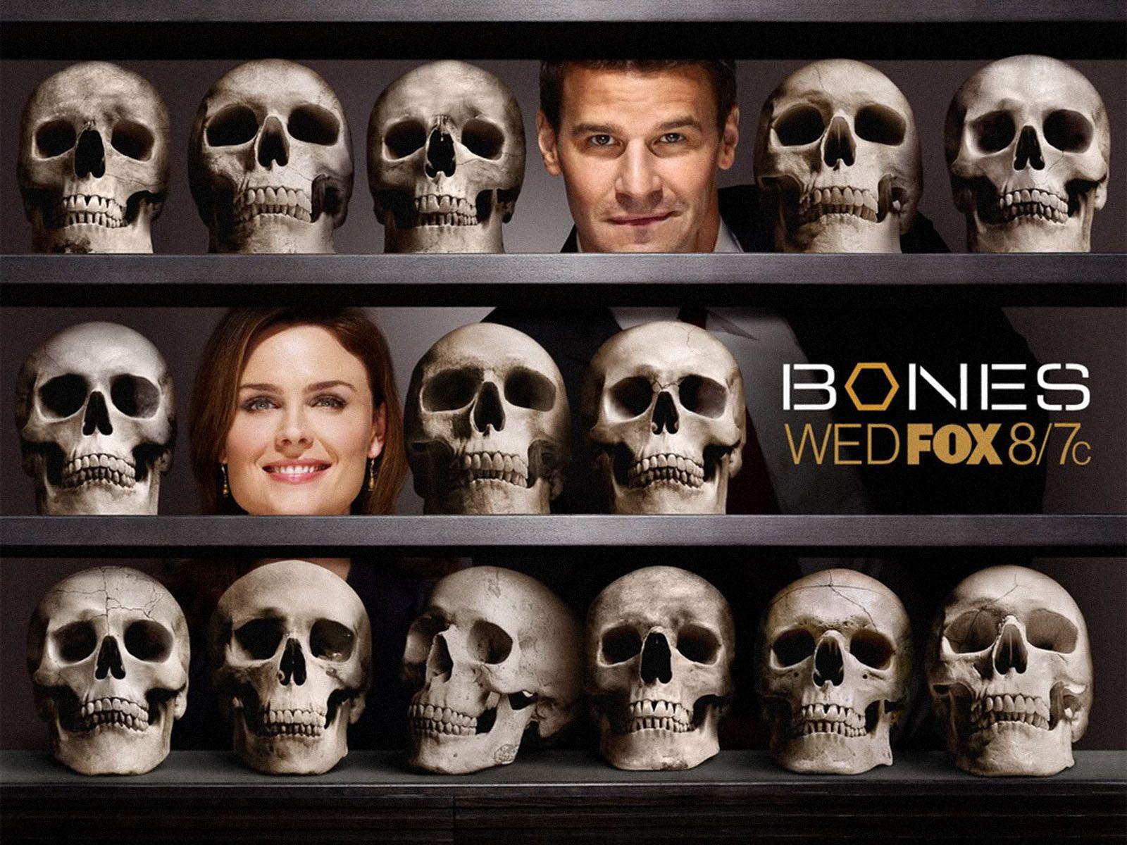 1600x1200 Bones Fox. Free Desktop Wallpaper for Widescreen, HD and Mobile