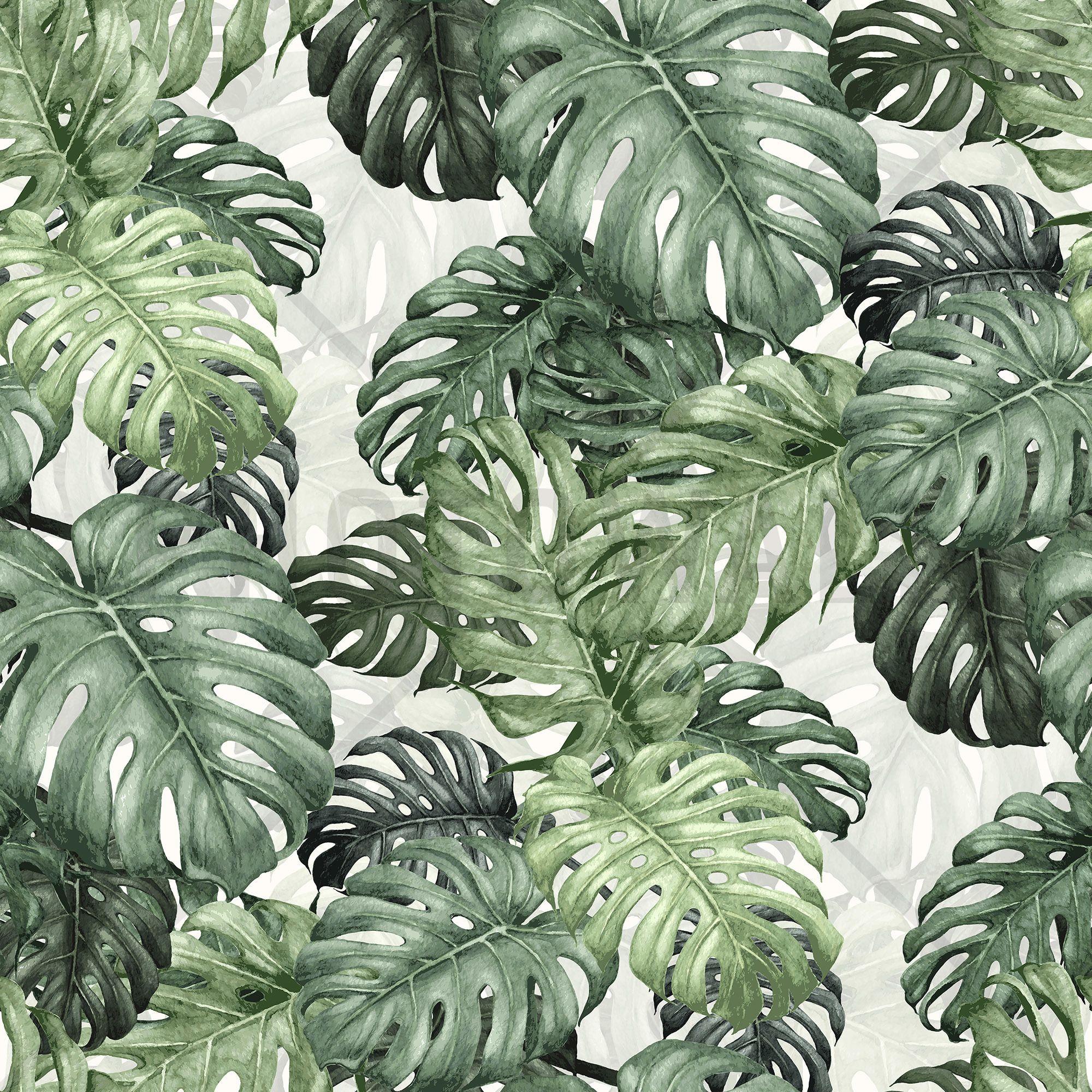 Real Monstera Wallpaper Mural By Woodchip  Magnolia