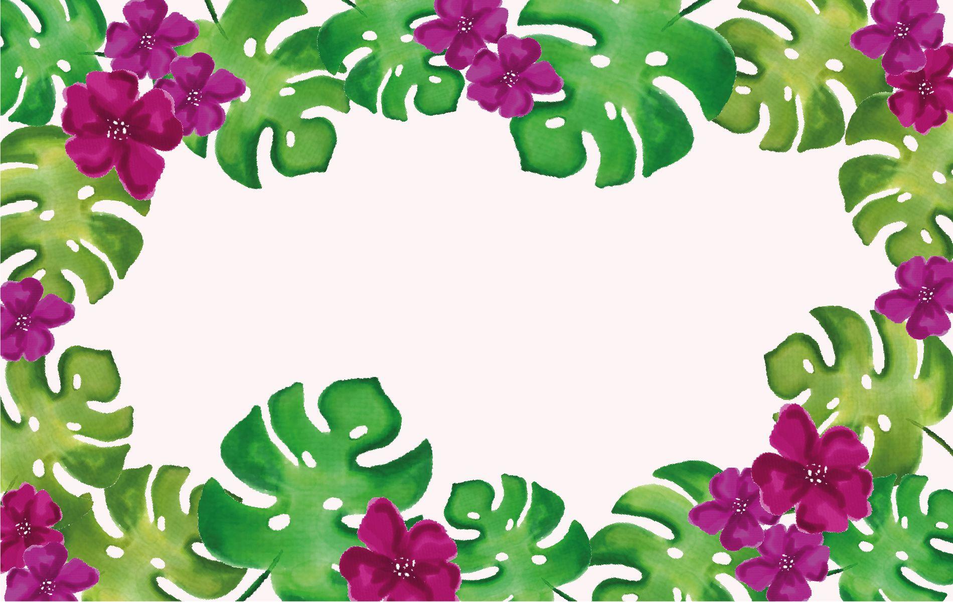 1900x1201 Monstera leaf desktop wallpaper