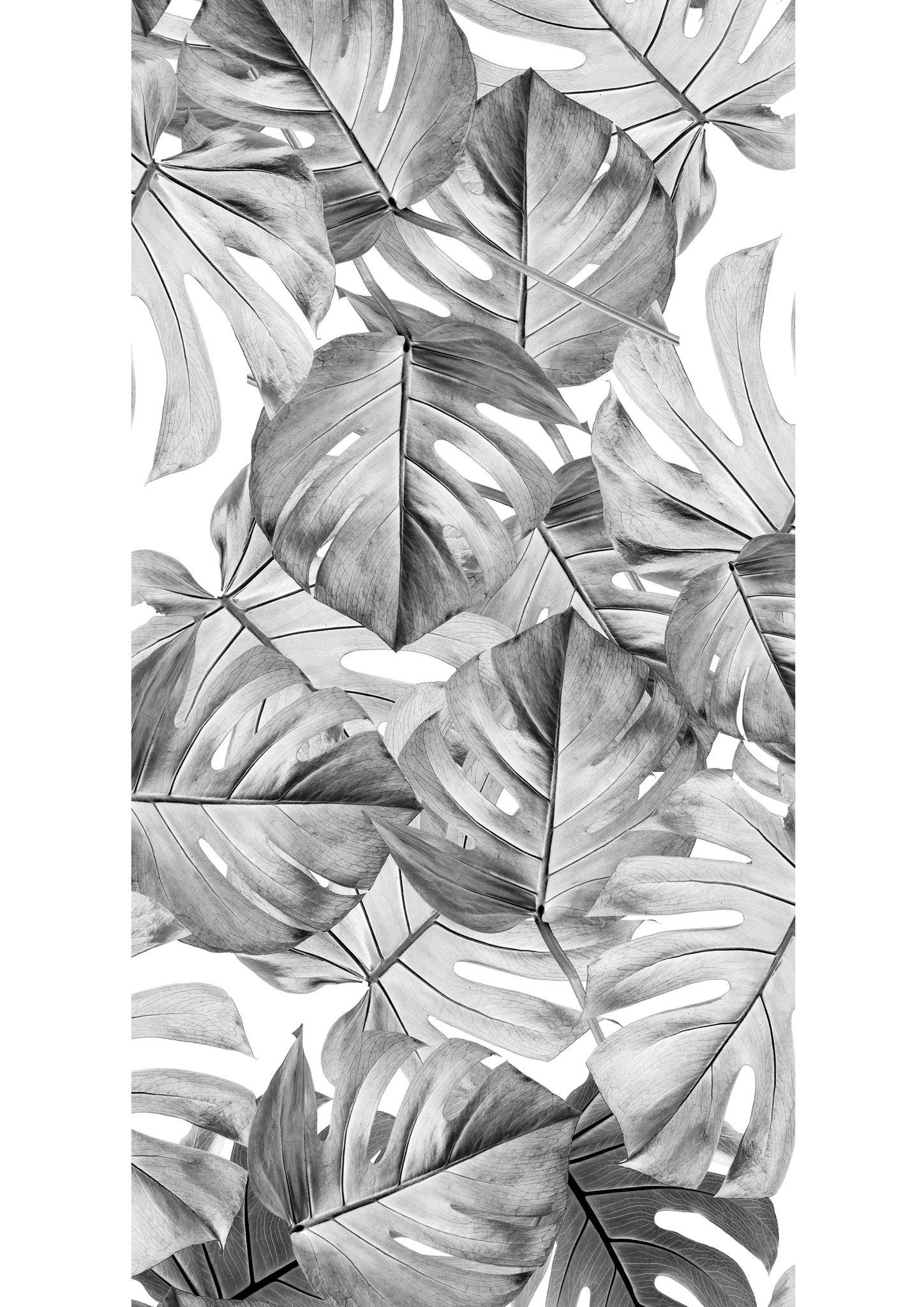 1448x2048 Botanical Wallpaper Monstera Grey