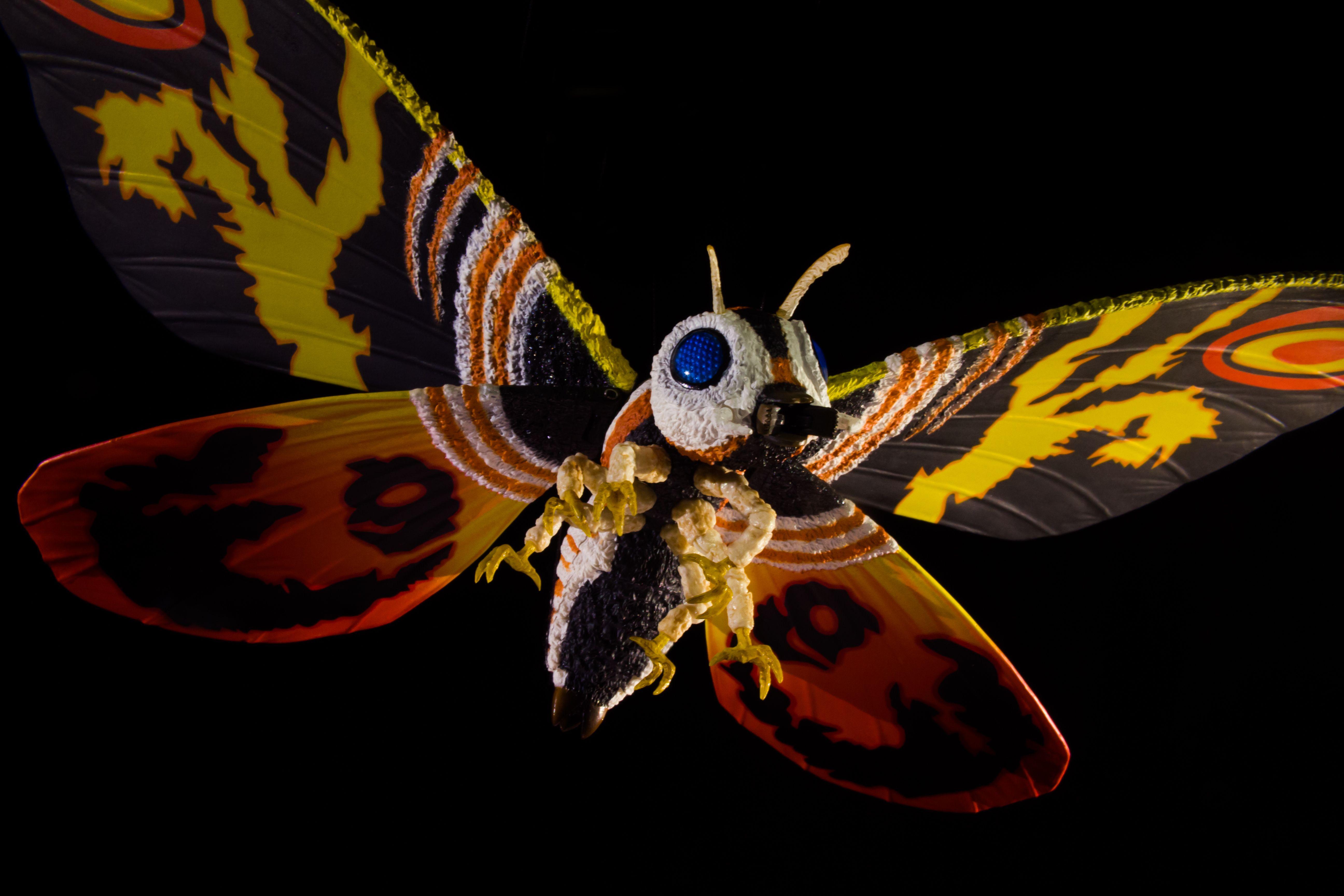 Mothra Wallpapers Top Free Mothra Backgrounds Wallpaperaccess Images And Photos Finder