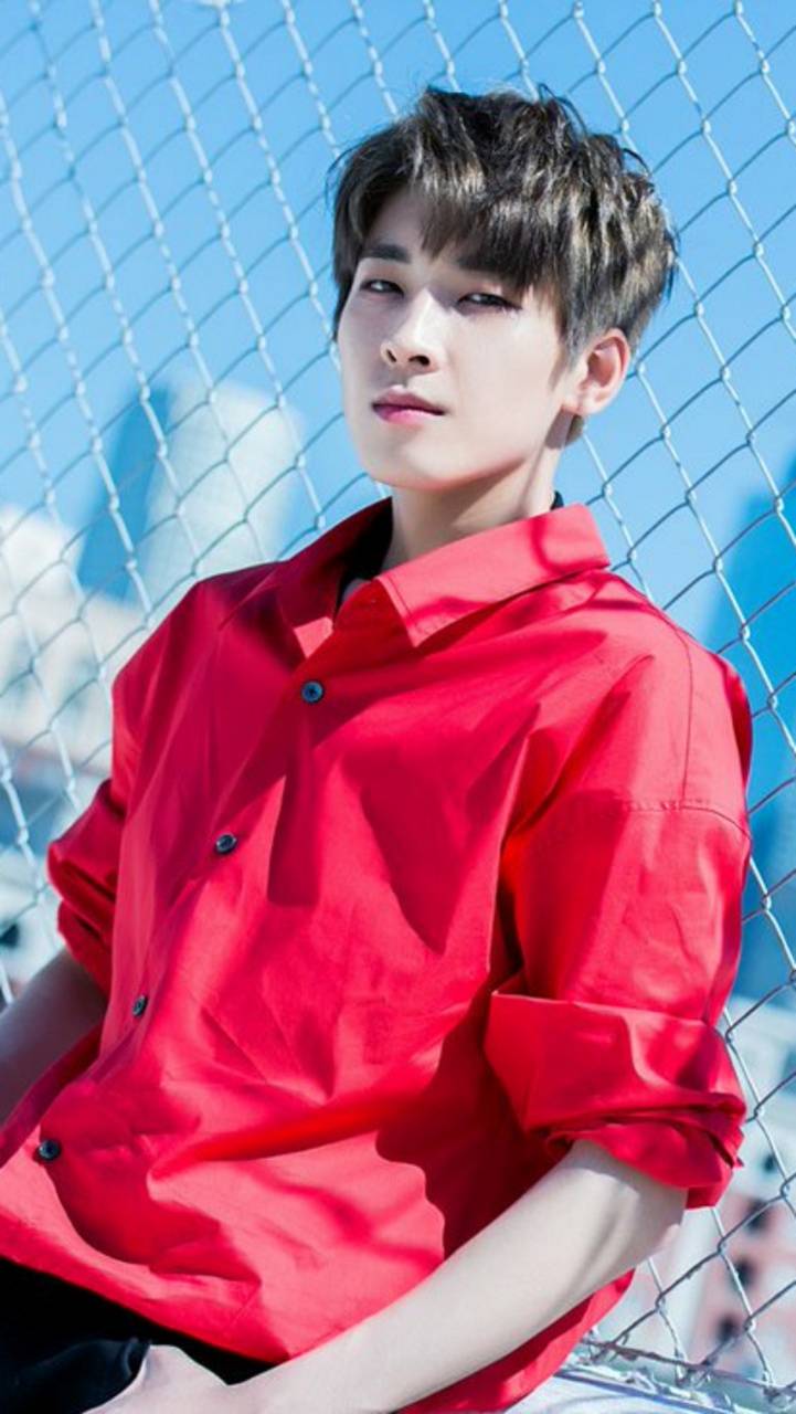 721x1280 Wonwoo Wallpaper