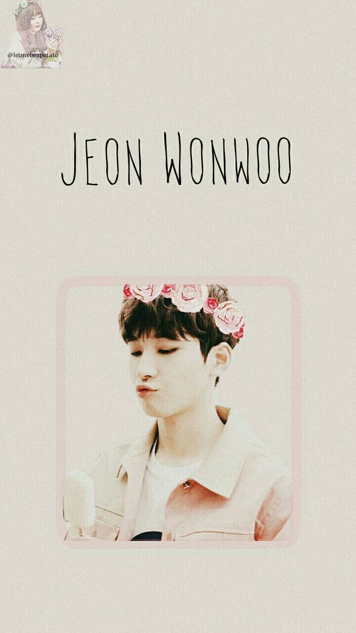 720x1280 Seventeen Wonwoo Wallpaper