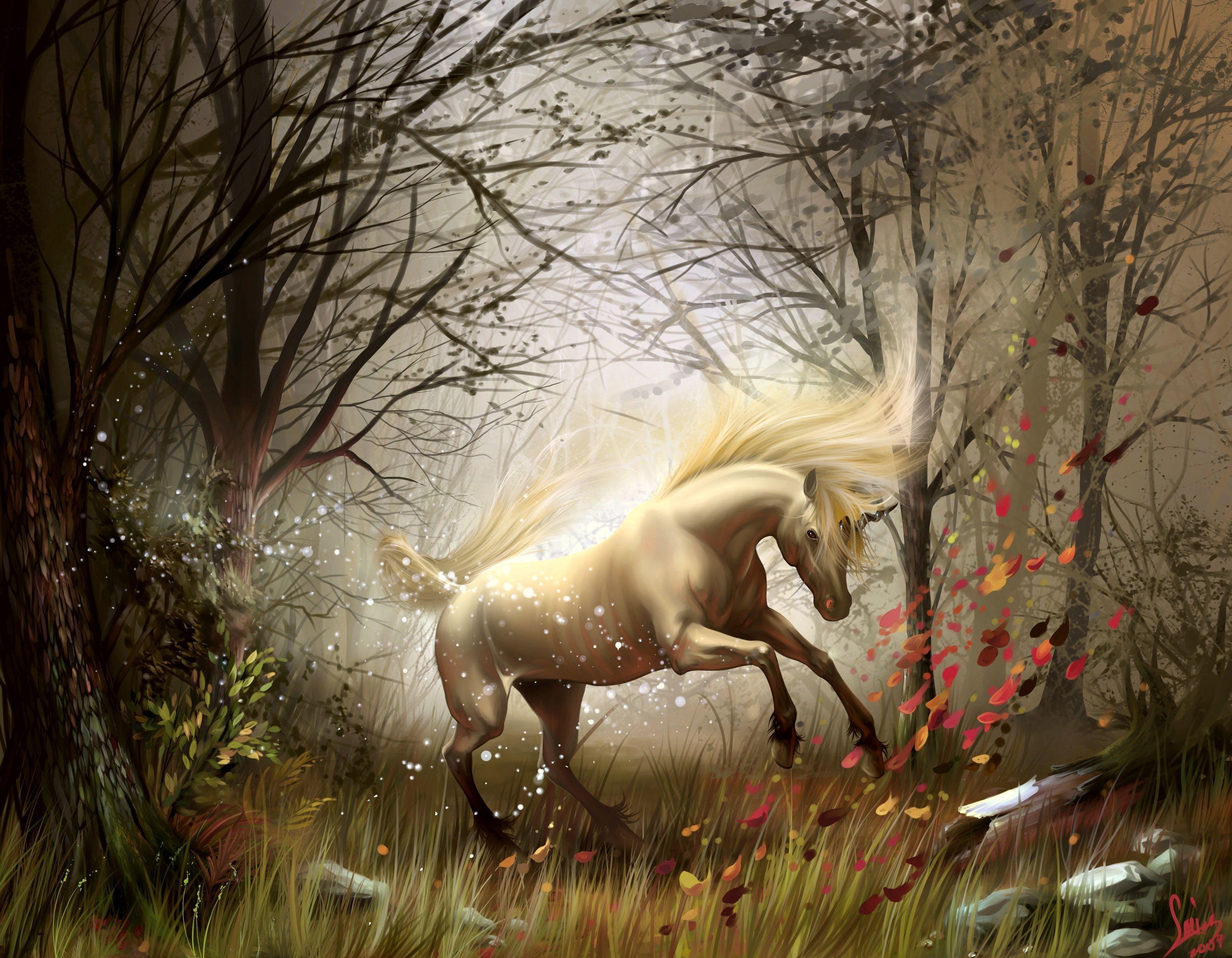 Real Unicorn Wallpapers - Top Những Hình Ảnh Đẹp