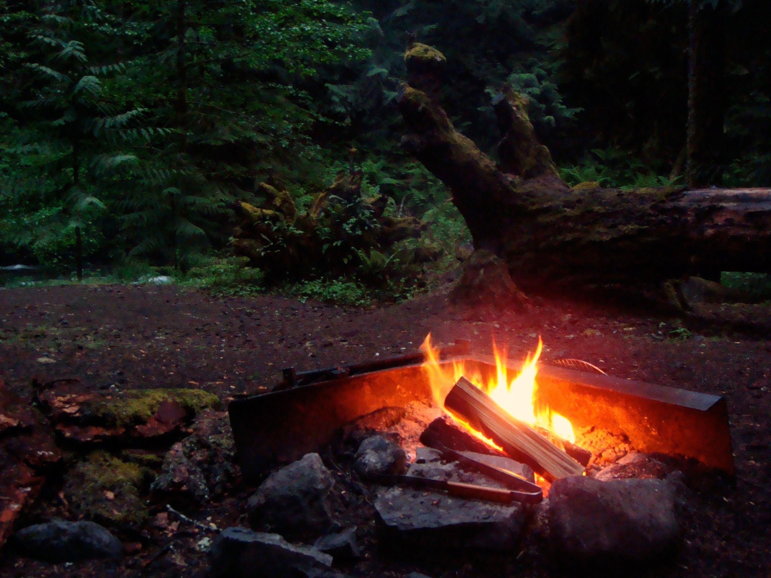 2592x1944 Misc: Forest Night Fire Campfire Hình nền Full HD cho HD 16: 9 High