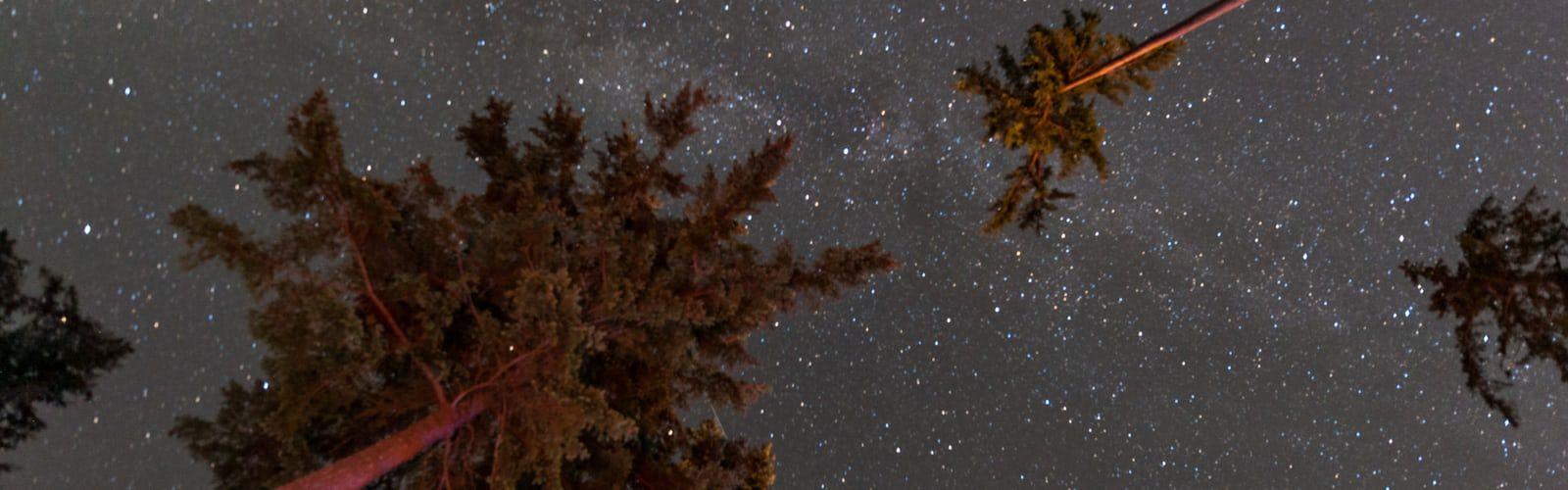 1600x500 moonchild best free moonchild, outdoor, sleep and cloud