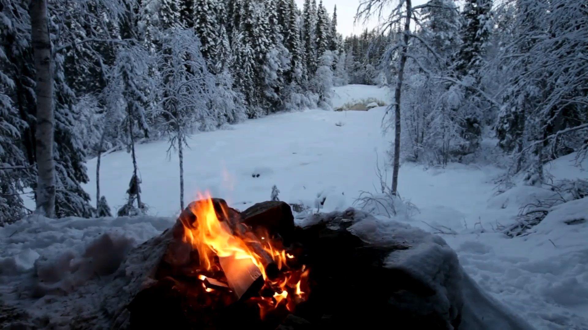 1920x1080 Crackling Fire in the Snow Nhìn ra Hình nền Sống trong Mùa đông Lạnh giá