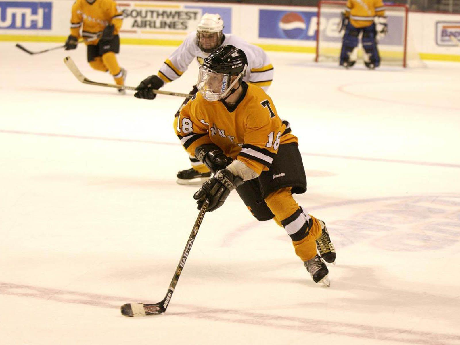 1600x1200 wallpaper: Ice Hockey