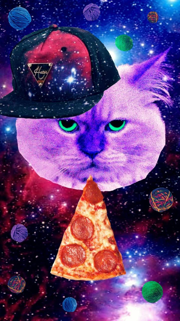 Cat Pizza Wallpapers - Top Free Cat Pizza Backgrounds - WallpaperAccess