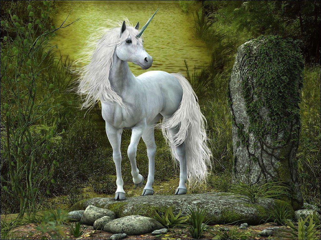 Realistic Unicorn - Clashing Pride