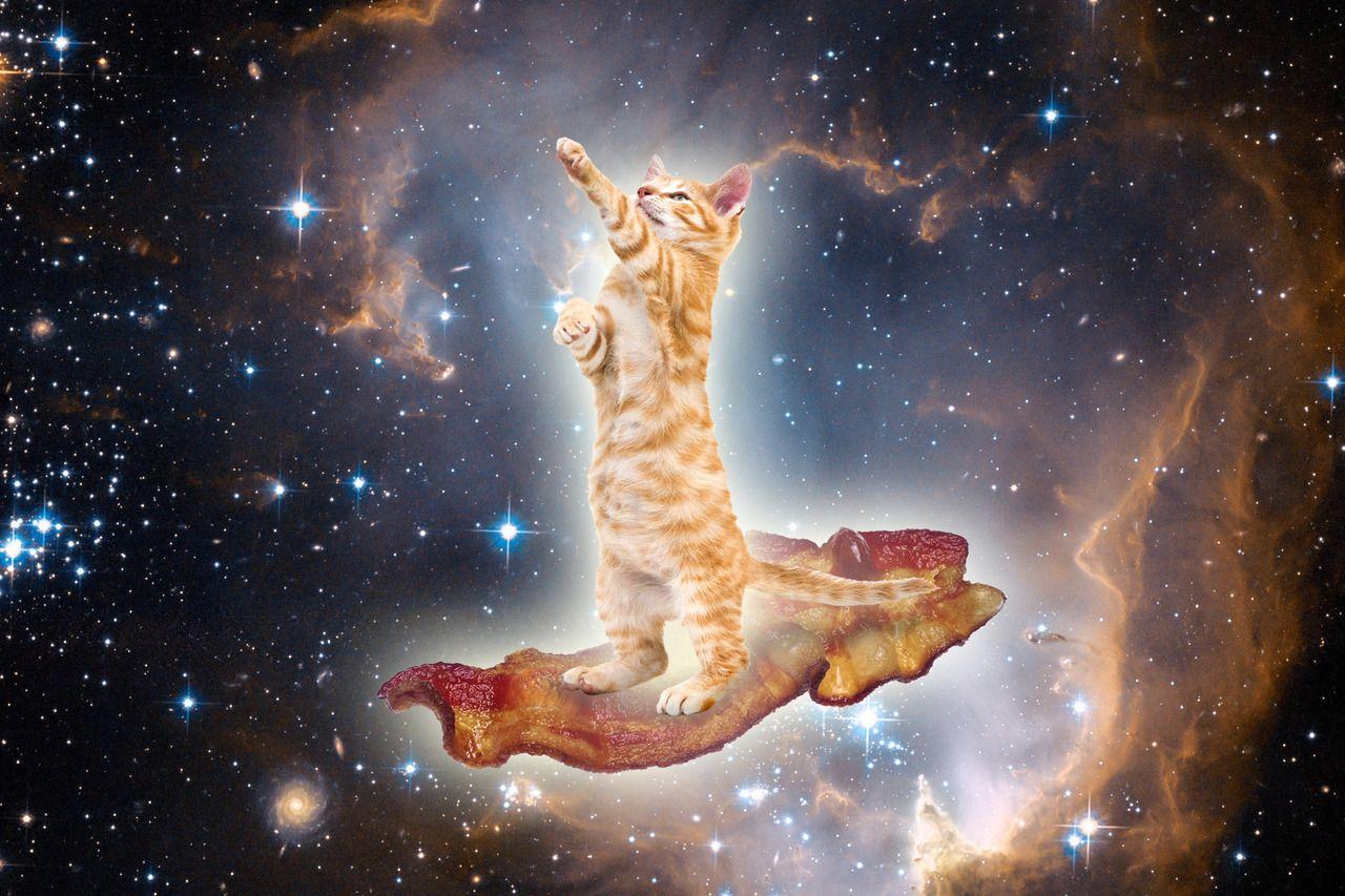 1280x853 Galaxy Cat Wallpaper