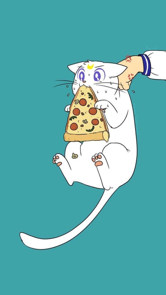 Cat Pizza Wallpapers Top Free Cat Pizza Backgrounds WallpaperAccess