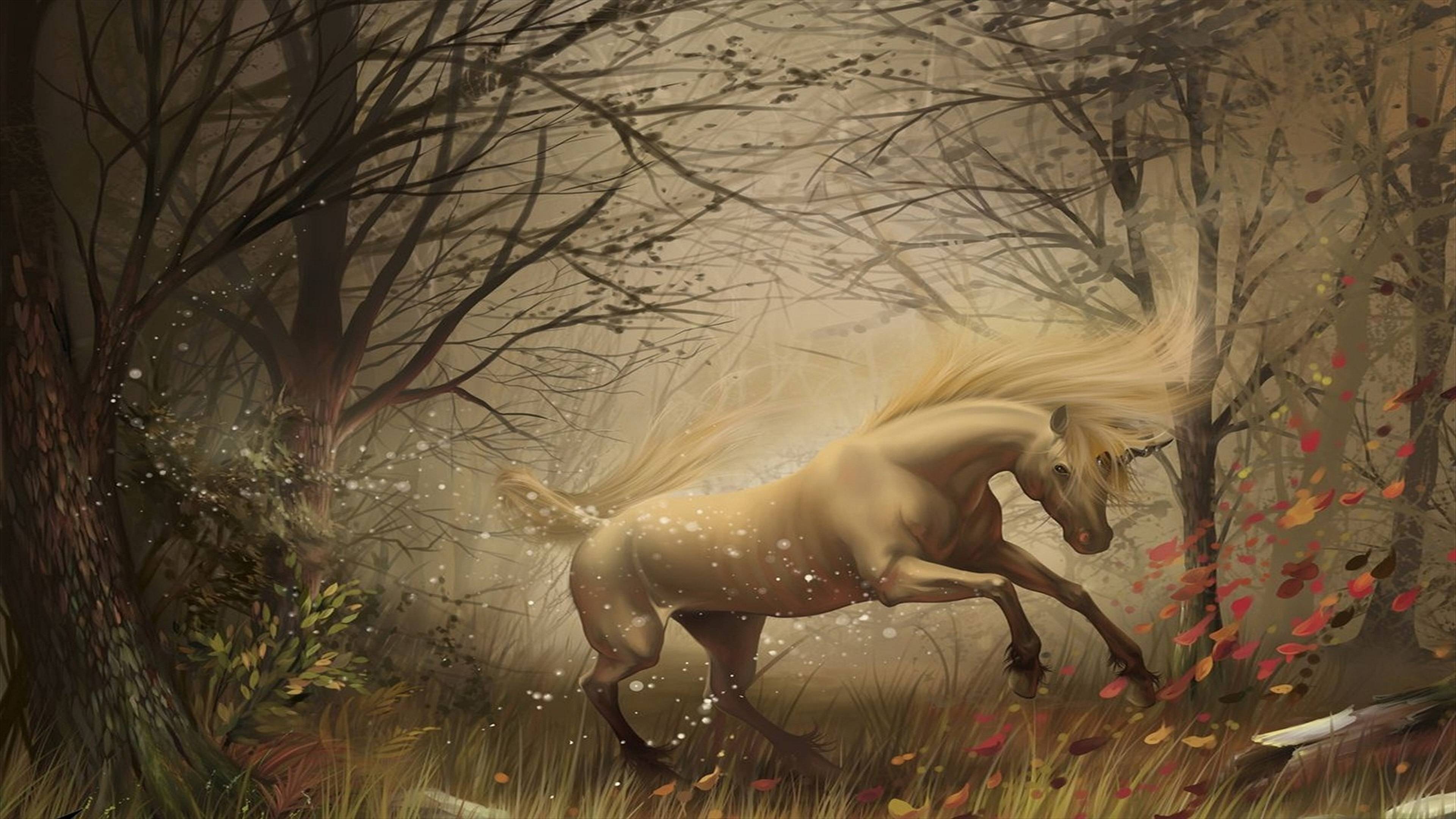 3840x2160 Unicorn Background