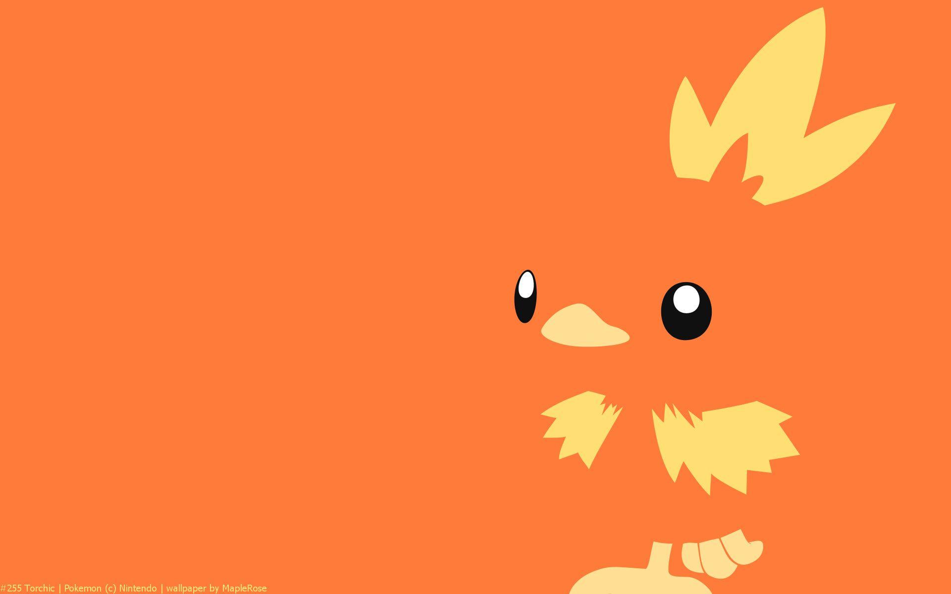1920x1200 Blaziken wallpaper wallpaper
