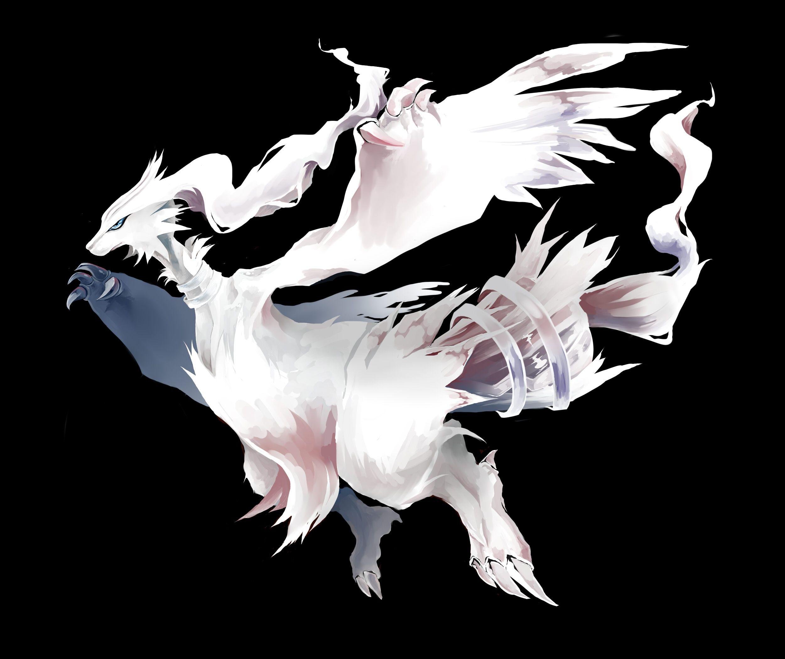 Reshiram Wallpapers - Top Free Reshiram Backgrounds - WallpaperAccess