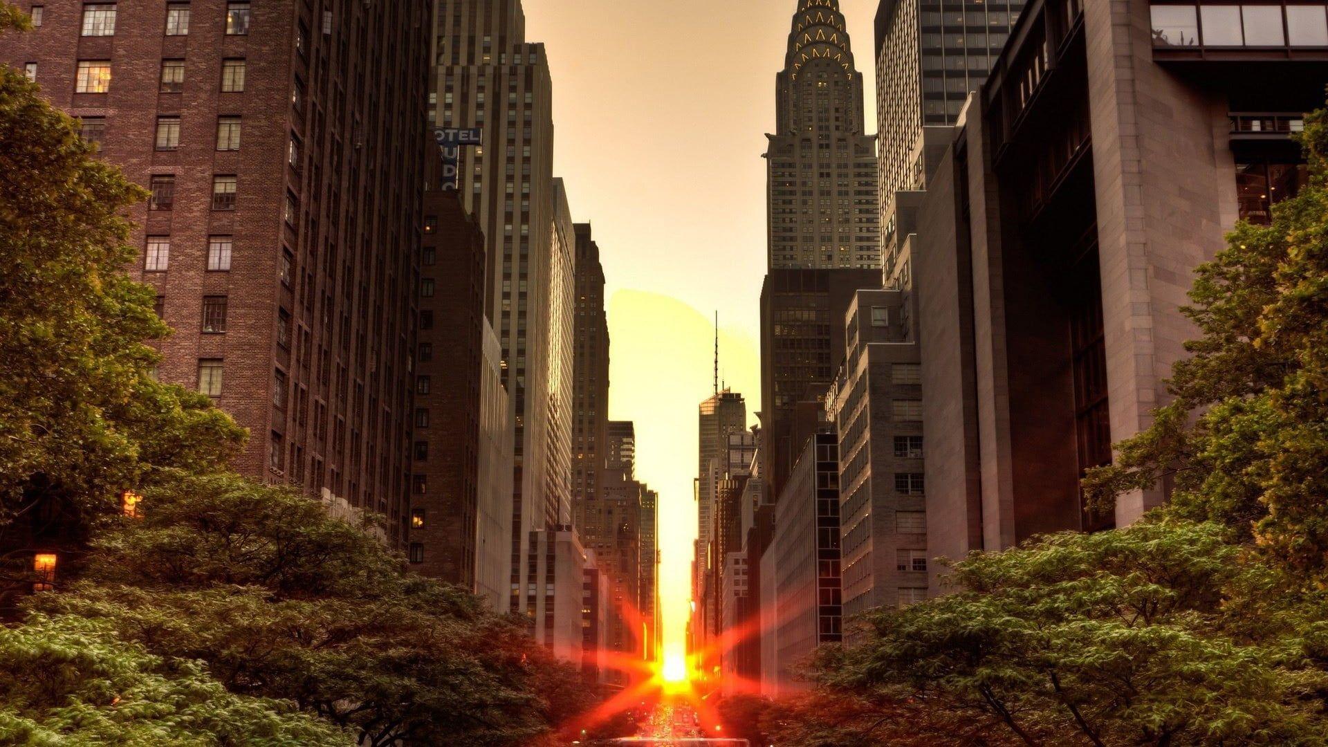 1920x1080 Brown High Rise Concrete Buildings, Manhattan, New York City