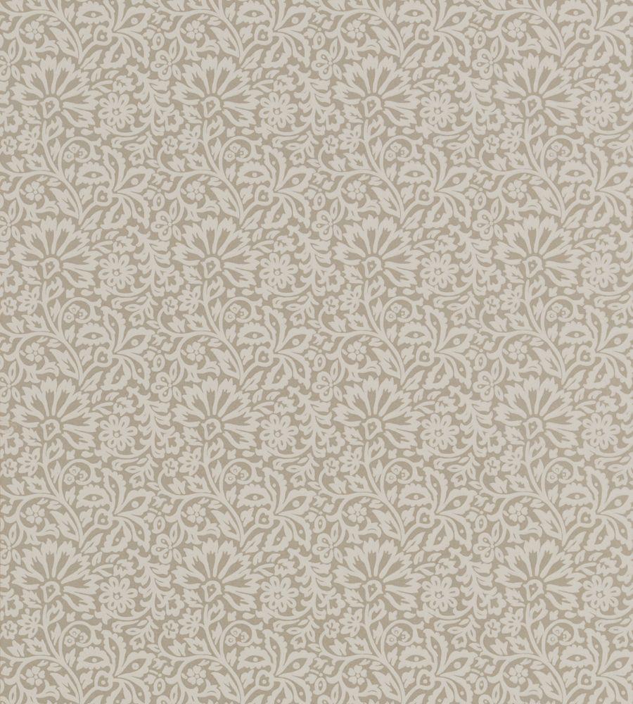 Ivory Wallpapers - Top Free Ivory Backgrounds - WallpaperAccess