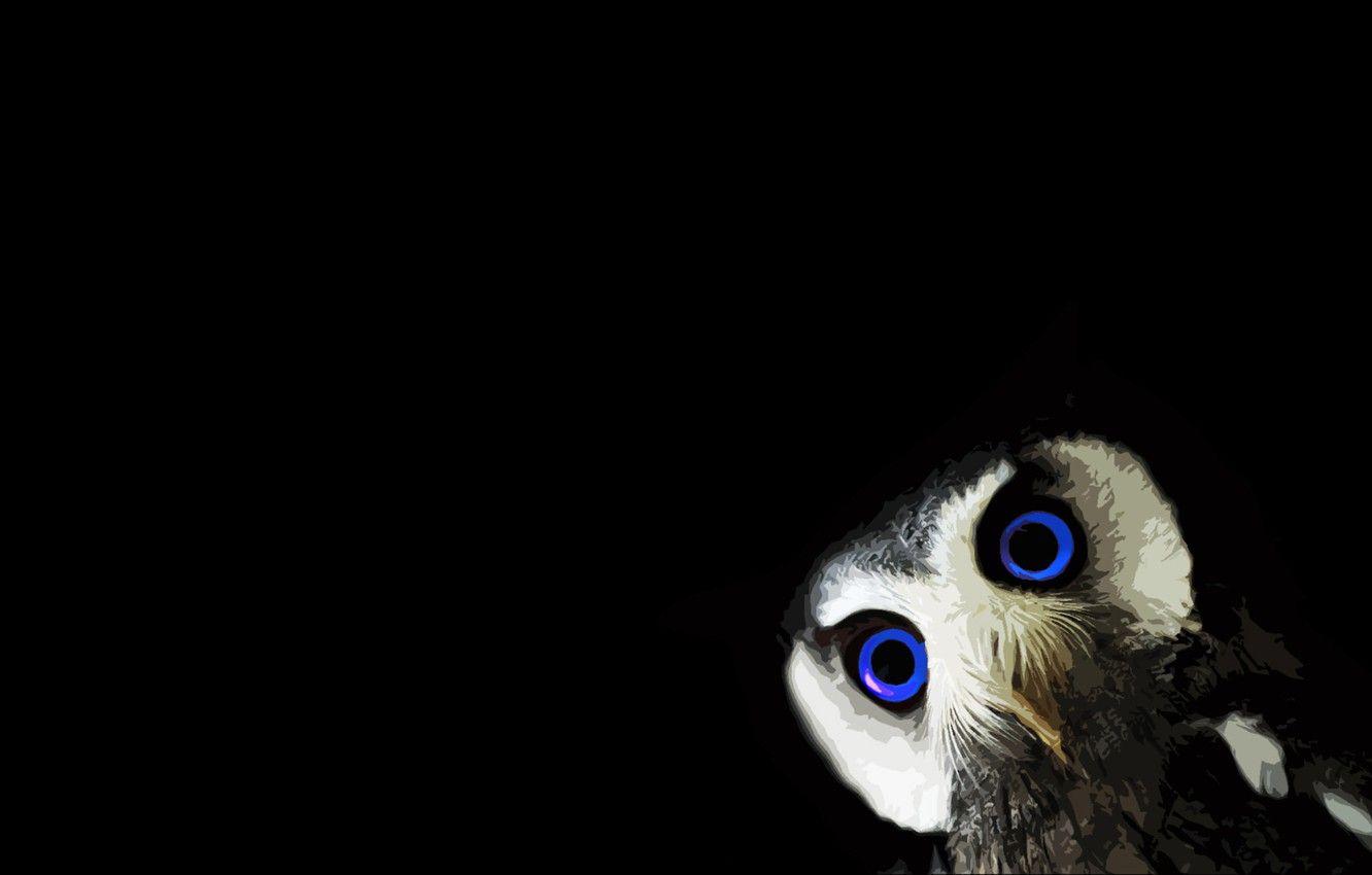 1332x850 Wallpaper black, animals, minimalism, blue eyes, black background, owl image for desktop, section минимализм