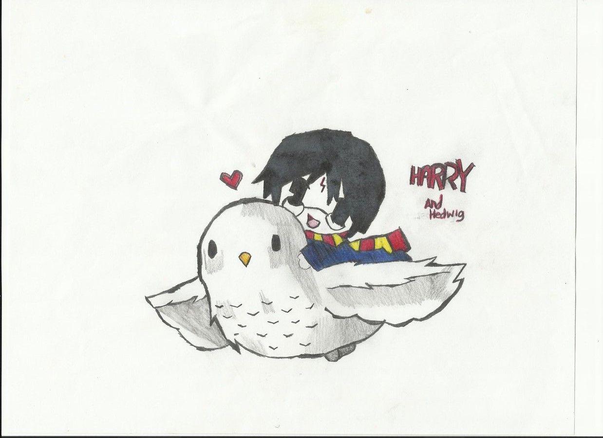1238x900 Harry Potter Hedwig Desktop Wallpaper