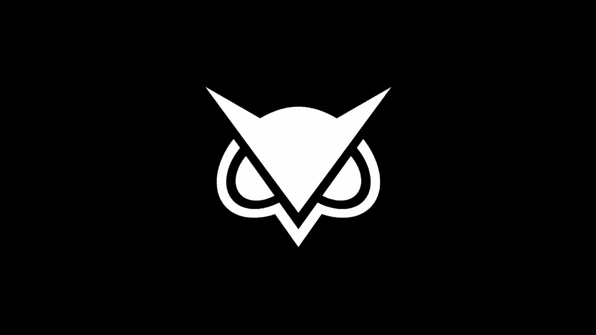 1920x1080 HD Owl Wallpaper