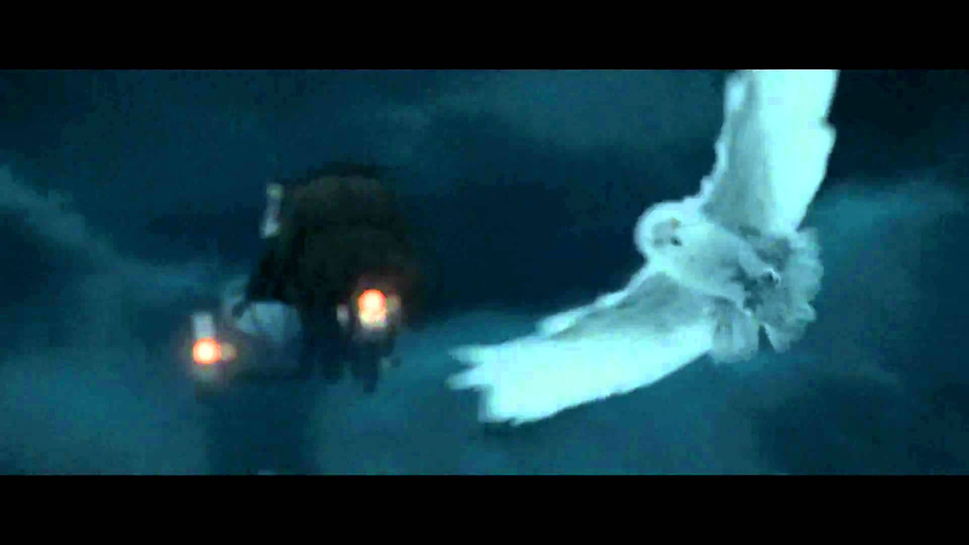 hedwig-wallpapers-top-free-hedwig-backgrounds-wallpaperaccess
