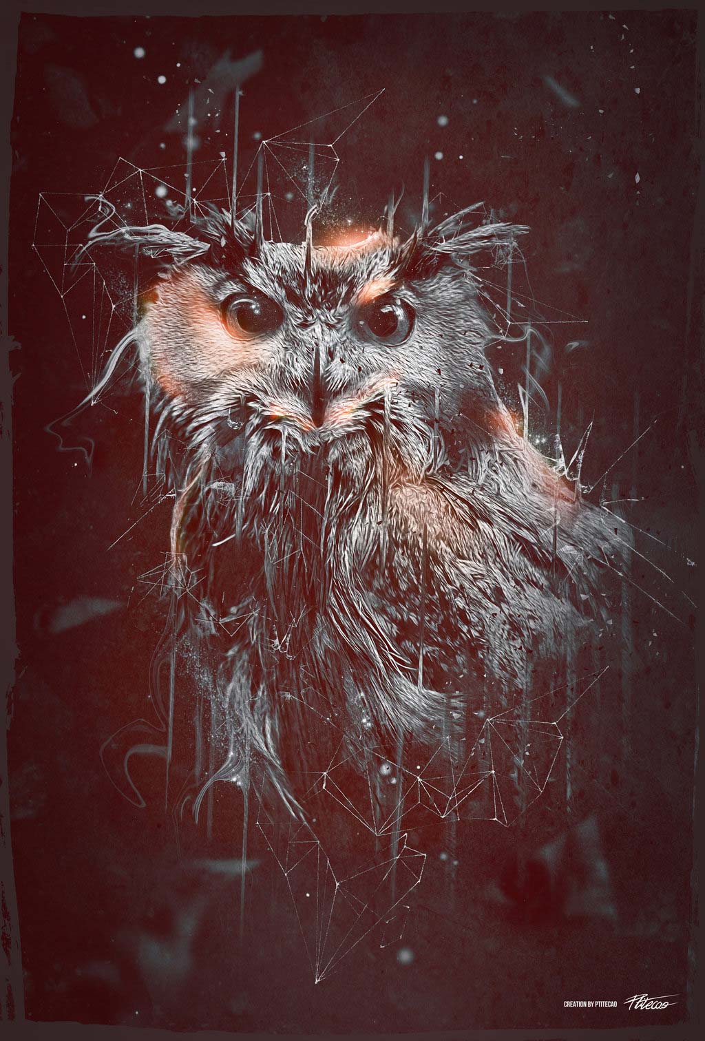 1024x1512 Dark Owl By Ptitecao.  DigitalArt.io