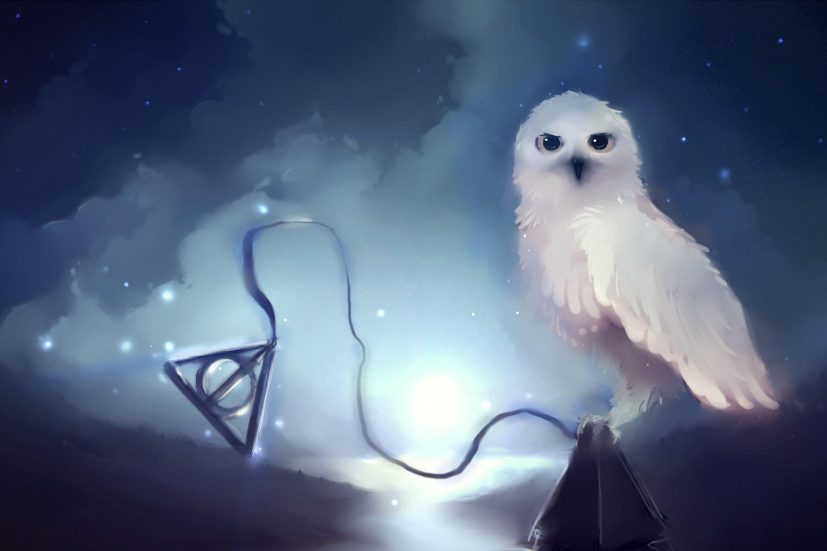 2880x1920 White Owl Wallpaper In White Dark Owl Wallpaper iPhone