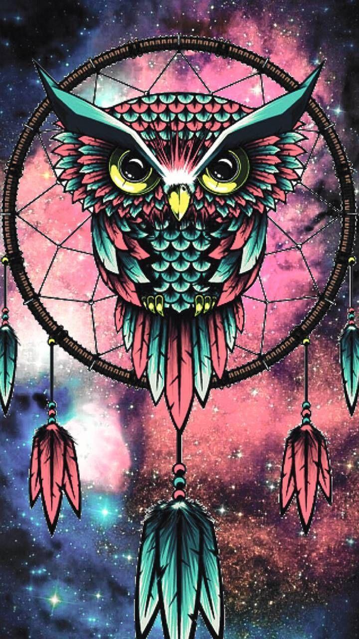 720x1280 owl Phone Wallpaper. Owl wallpaper, Owl wallpaper