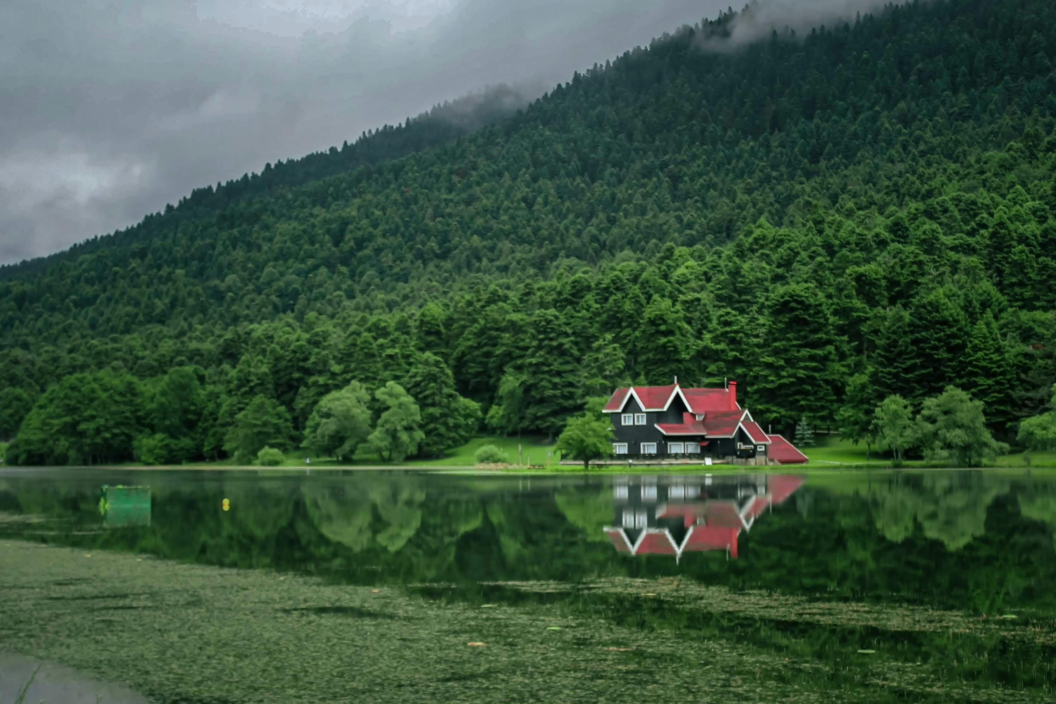 3537x2358 House by Lake under Forest on Hill · Free