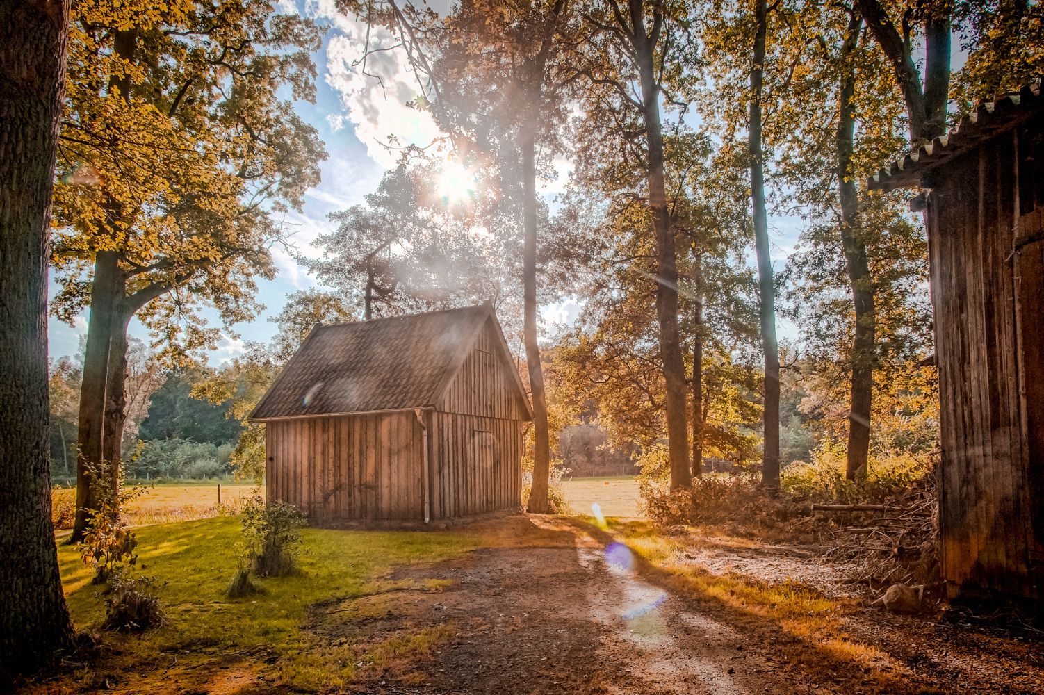 1502x1000 The Wooden House in the Forest. Martin Soler Photography