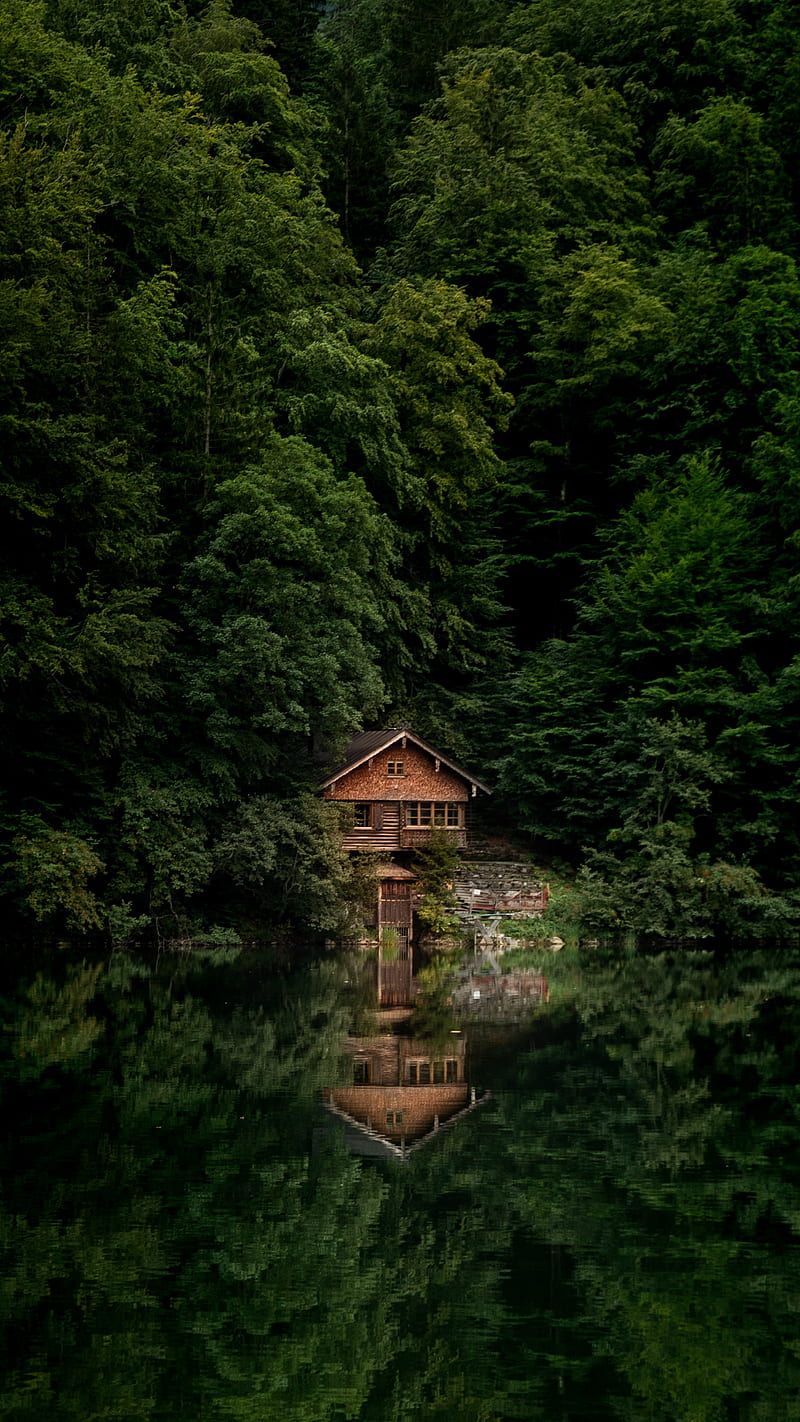800x1422 House, lake, shore, forest, trees, HD phone wallpaper