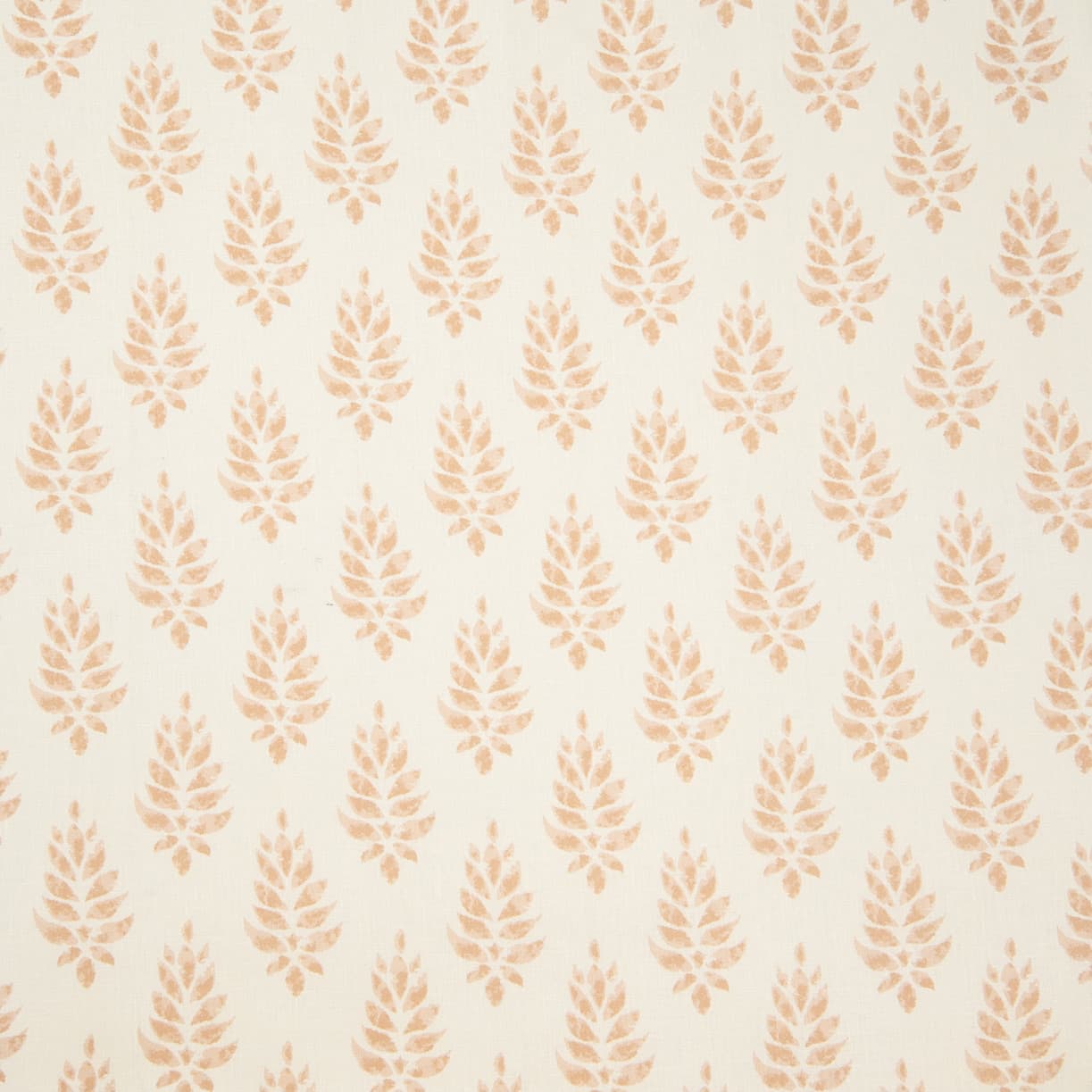 1223x1223 Raga Wallpaper