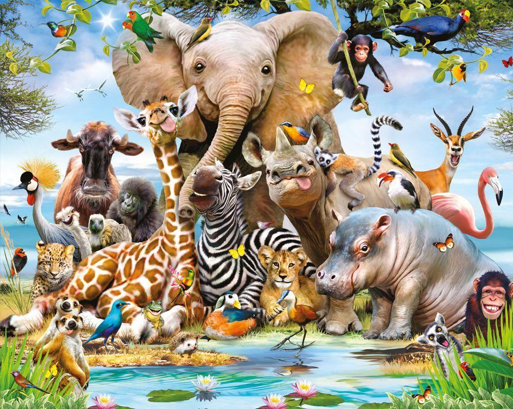 Tropical Animals Wallpapers Top Free Tropical Animals Backgrounds 