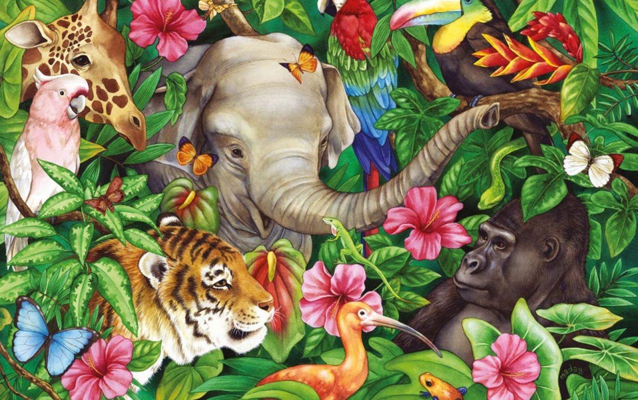 Jungle Animals Wallpapers Top Free Jungle Animals Backgrounds