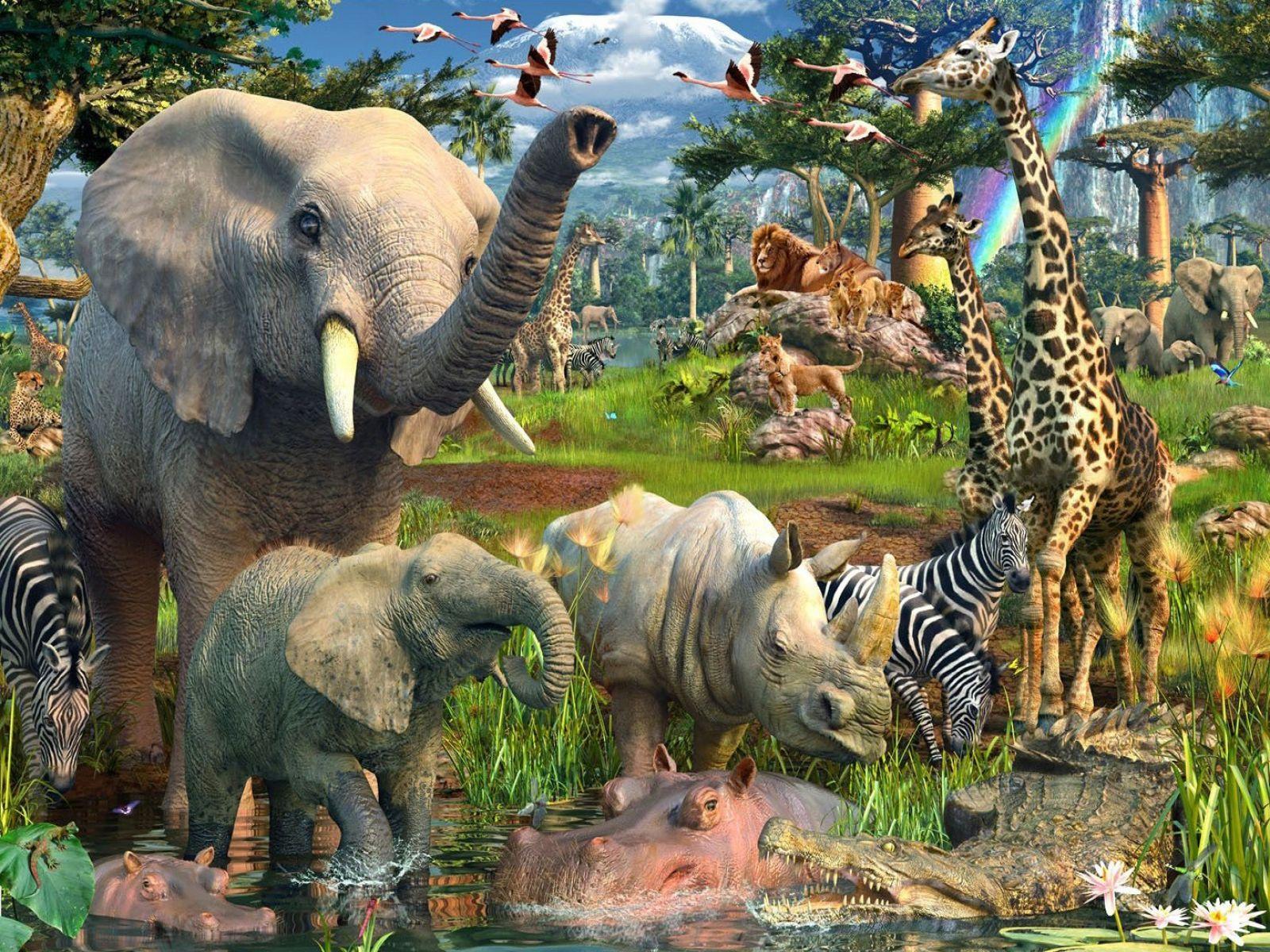 26 Safari Animals Wallpapers  WallpaperSafari