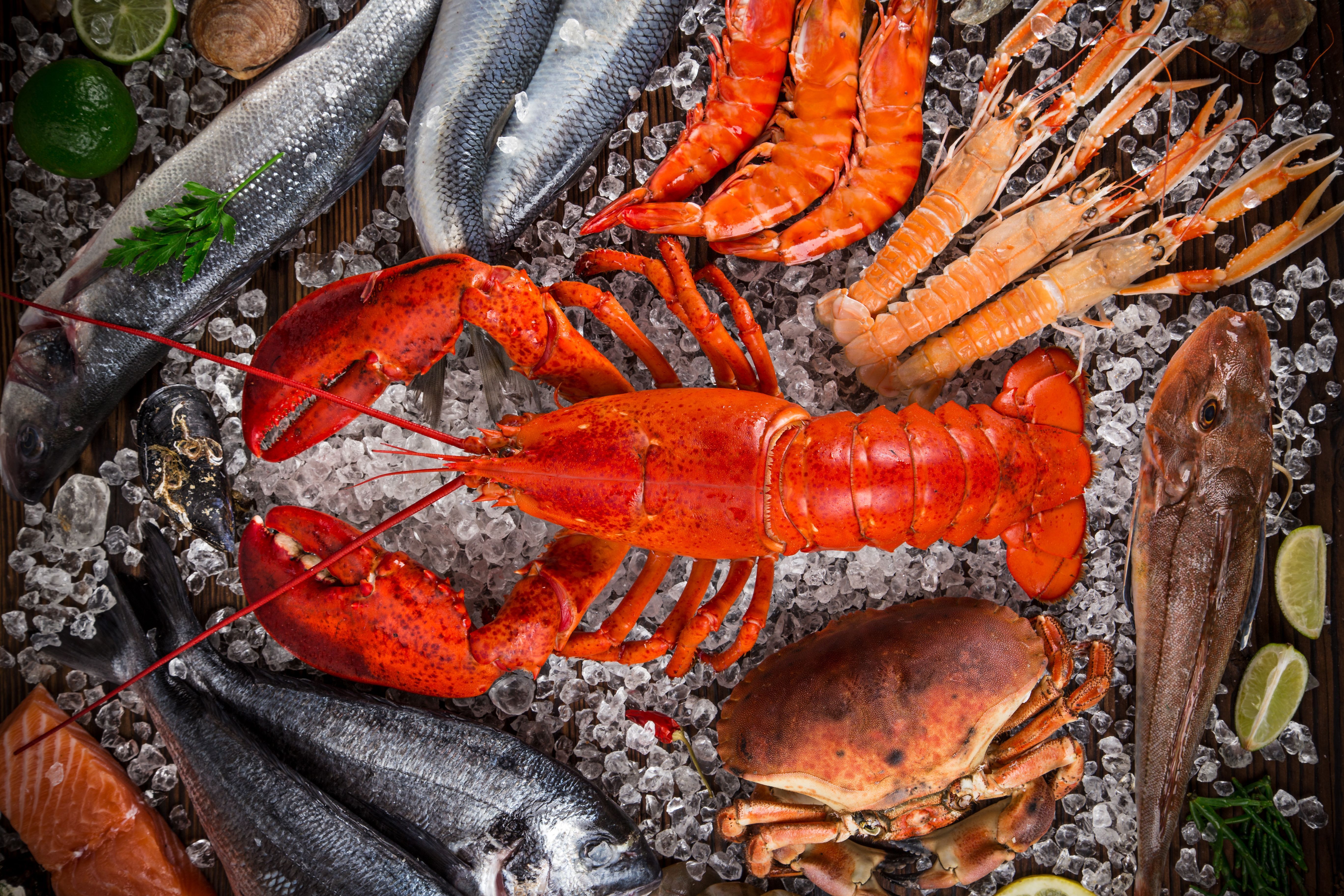 5472x3648 Download Still Life Lobster Fish Crab