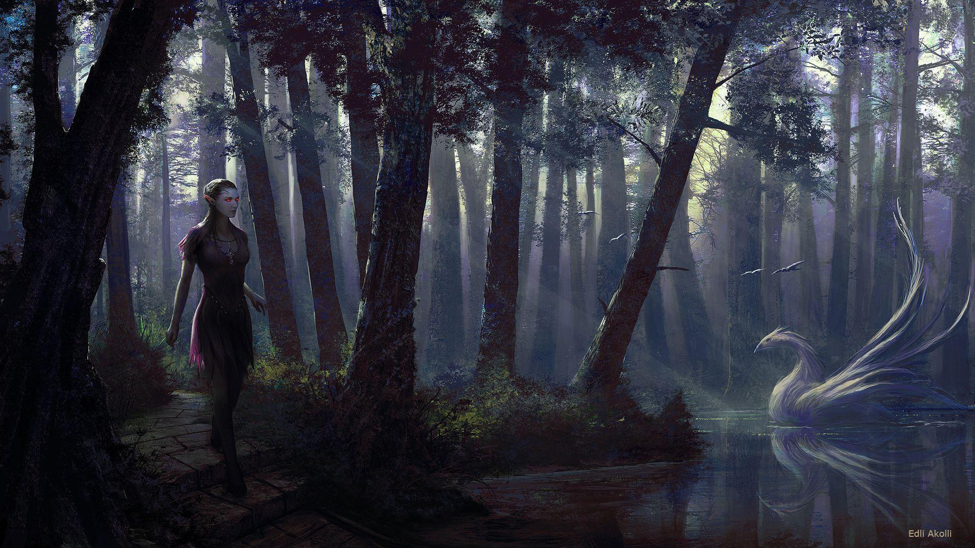 1920x1080 Enchanted Forest hình nền