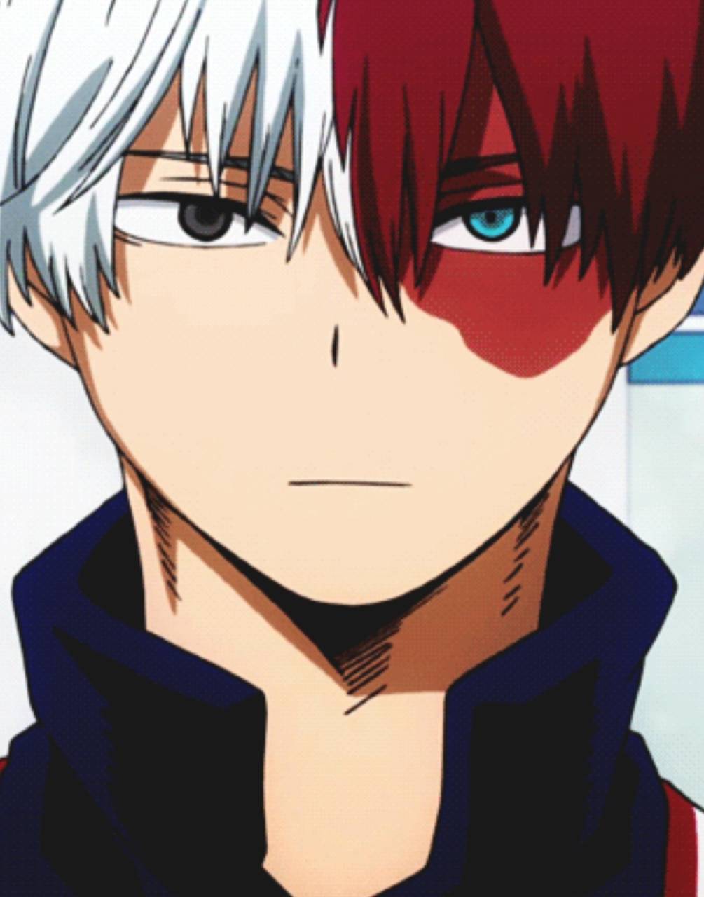 1005x1280 Shoto todoroki Wallpaper