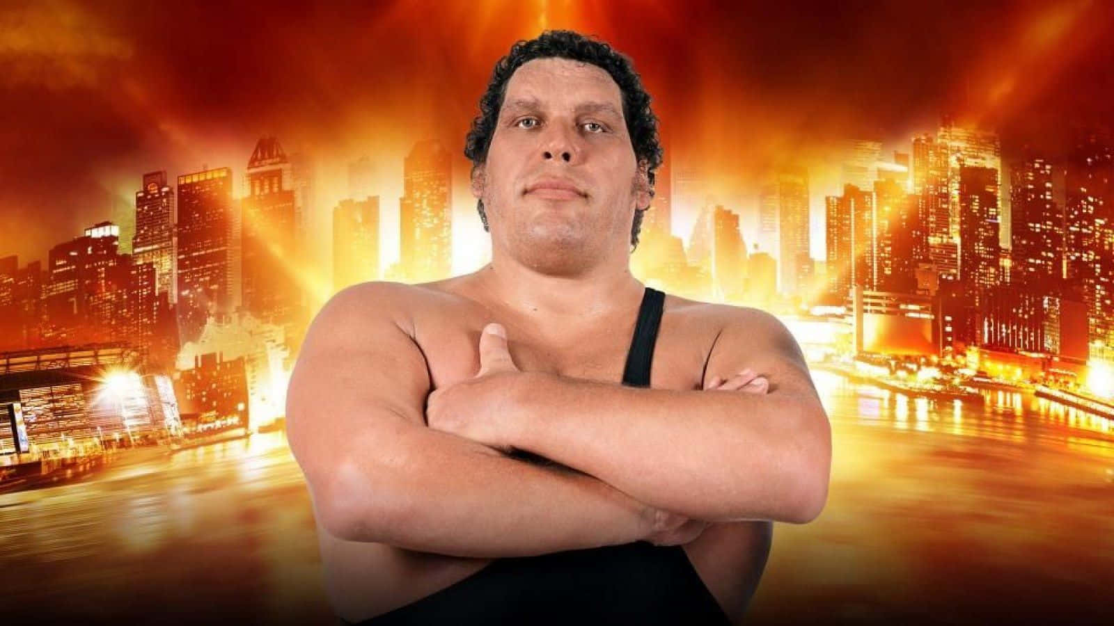 1600x900 Download Andre The Giant French