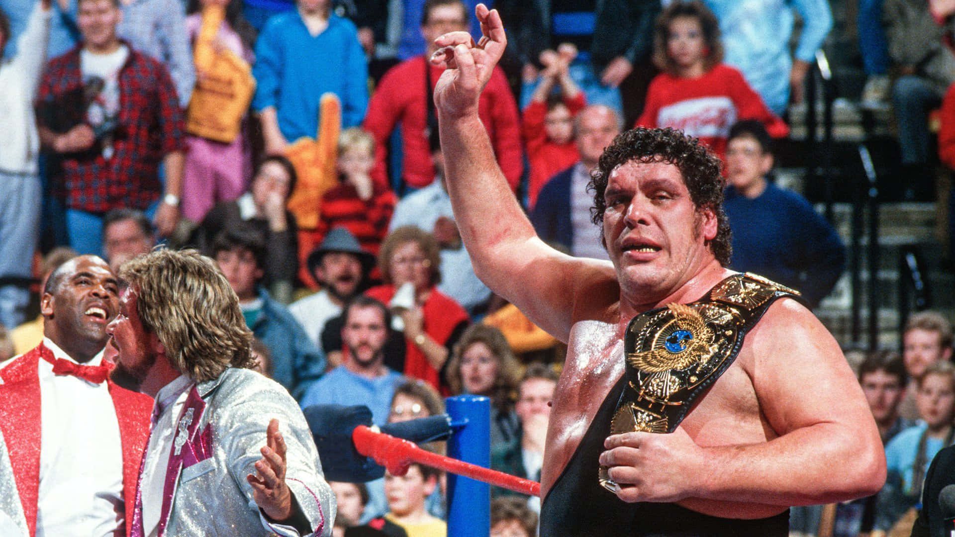 1920x1080 Download Andre The Giant Wwf