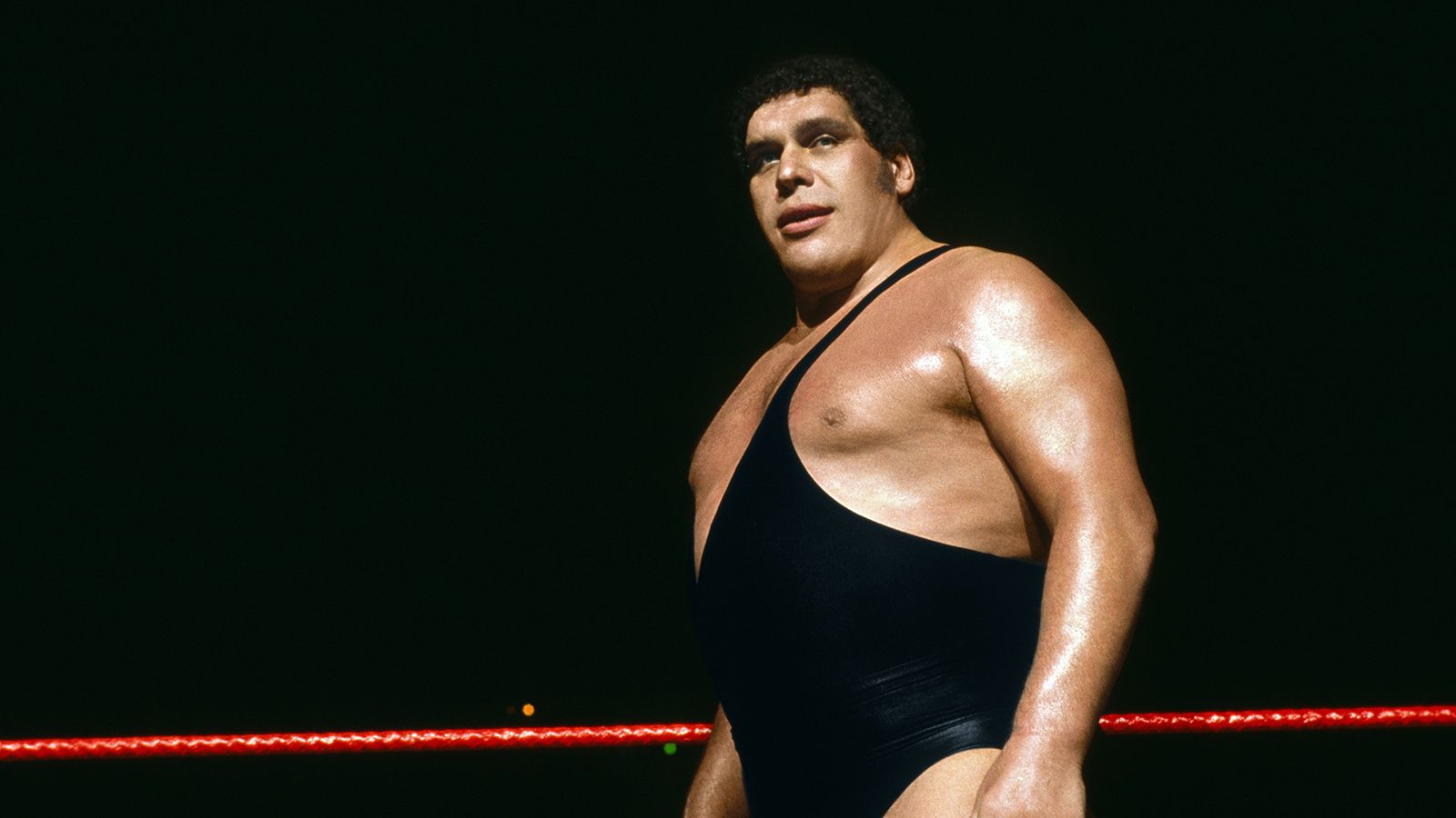 1600x900 Why AndrÃ© the Giant Was Larger Than