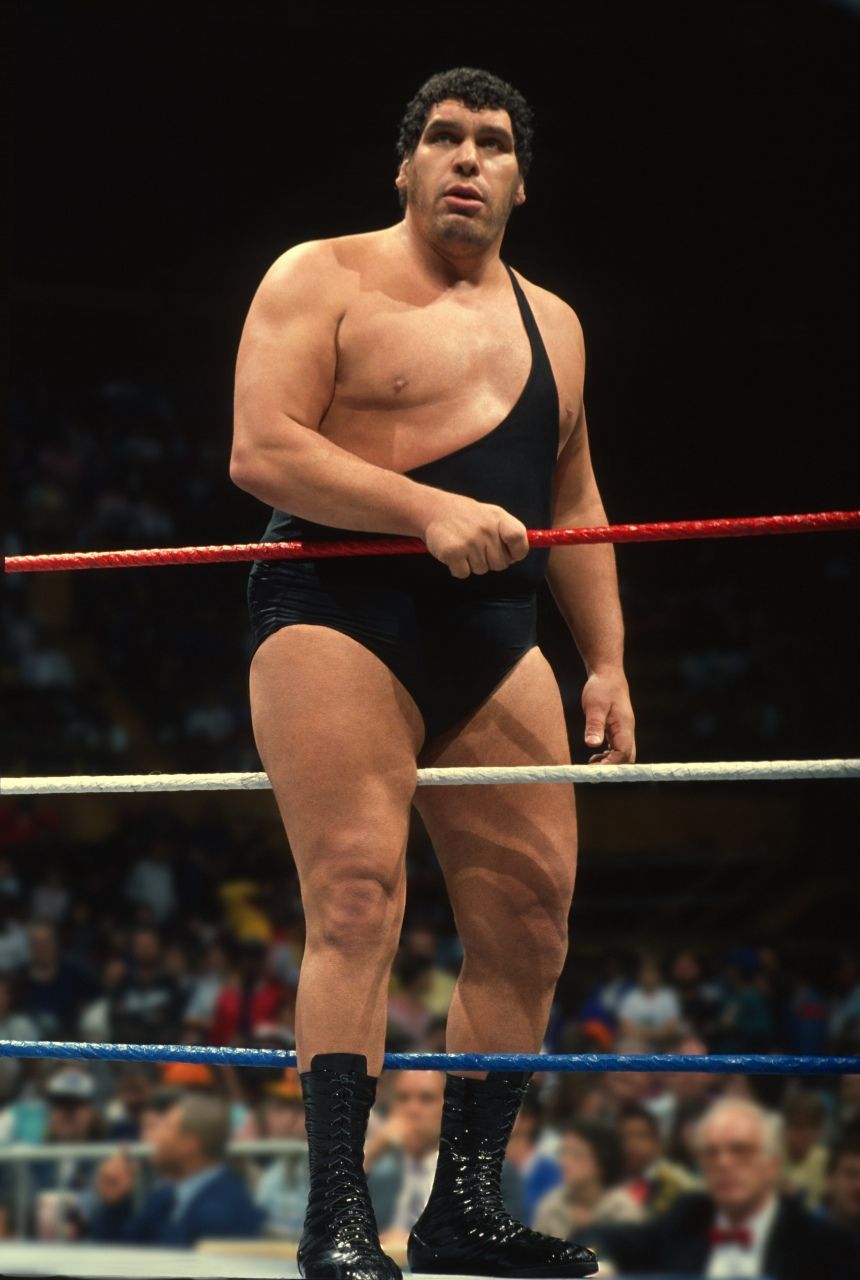 860x1280 Arnold Schwarzenegger Wrestling Andre