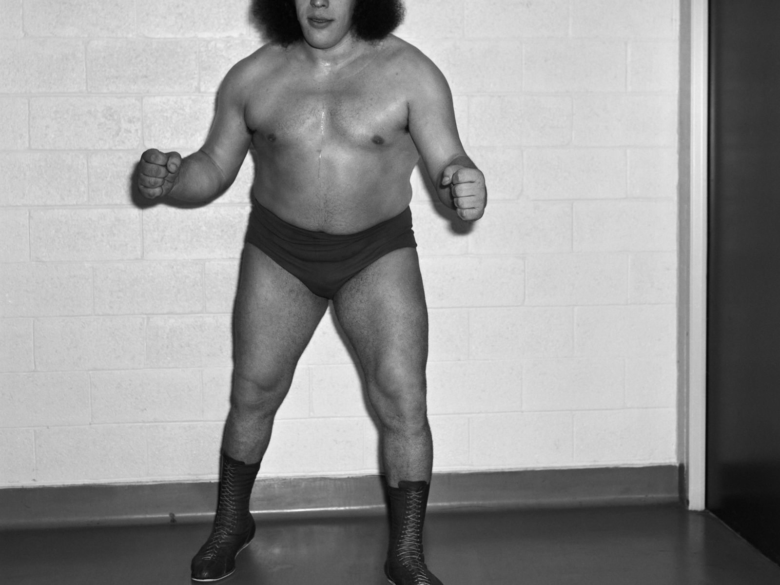 1600x1200 WWE Hall of Famer André the Giant